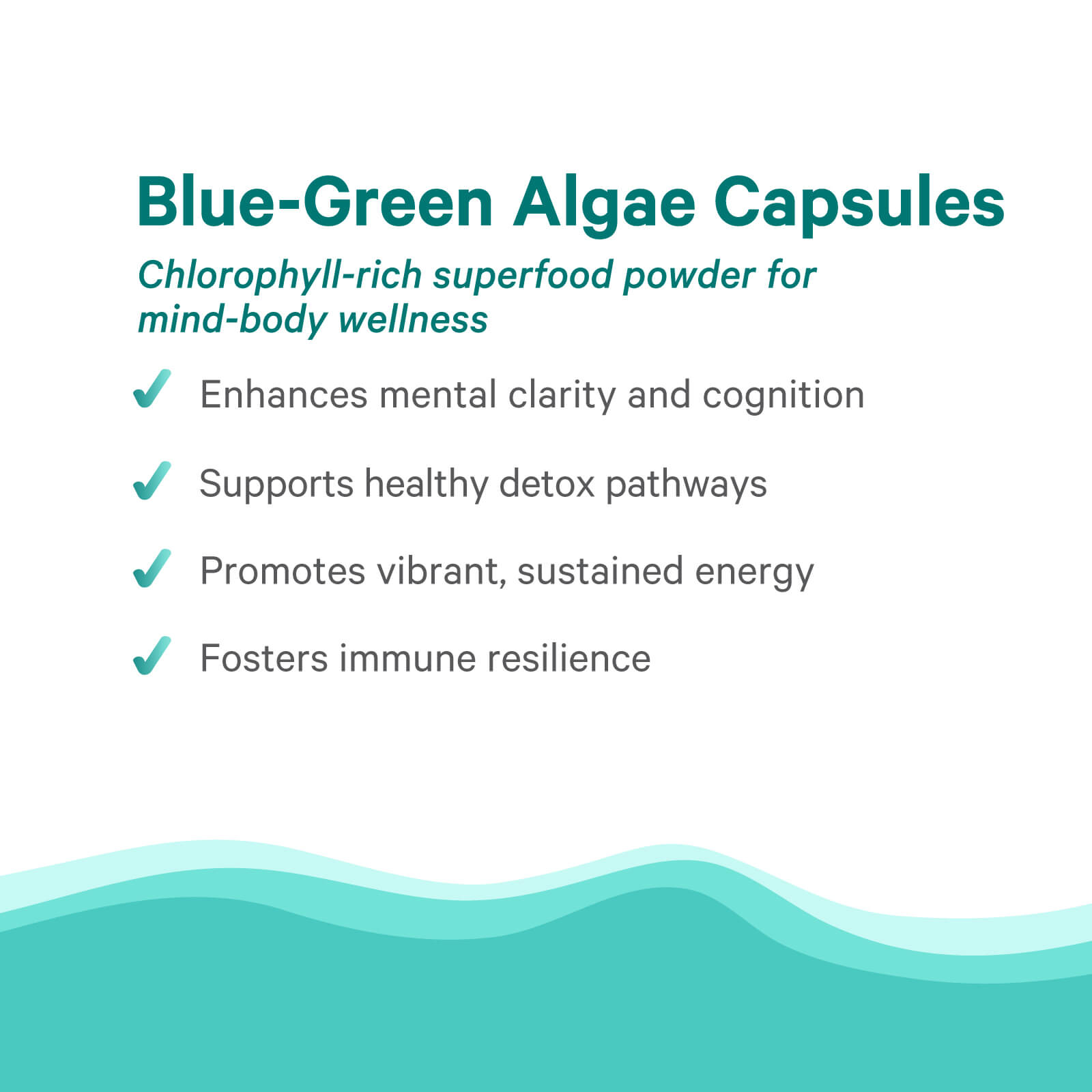 An info graphic for The Synergy Company Organic Blue-Green Algae Capsules with Aphanizomenon flos-aquae highlights benefits: boosts mental clarity, supports detox, promotes energy, and strengthens immunity. Wavy blue lines accent the bottom.