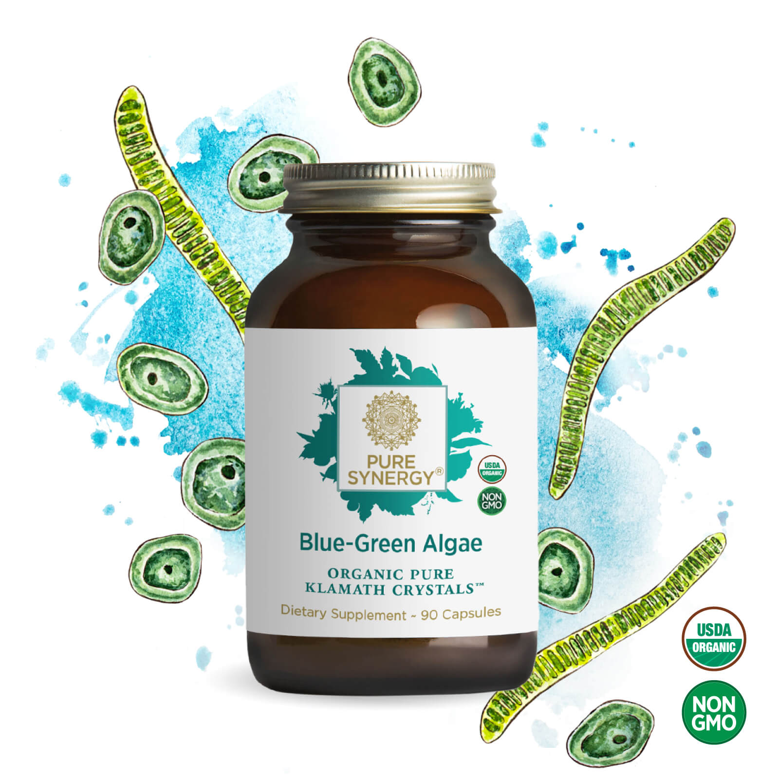 A brown bottle labeled The Synergy Company Organic Blue-Green Algae Capsules (90 count), featuring Aphanizomenon flos-aquae, is surrounded by watercolored algae. USDA Organic and Non-GMO seals are visible in the image.
