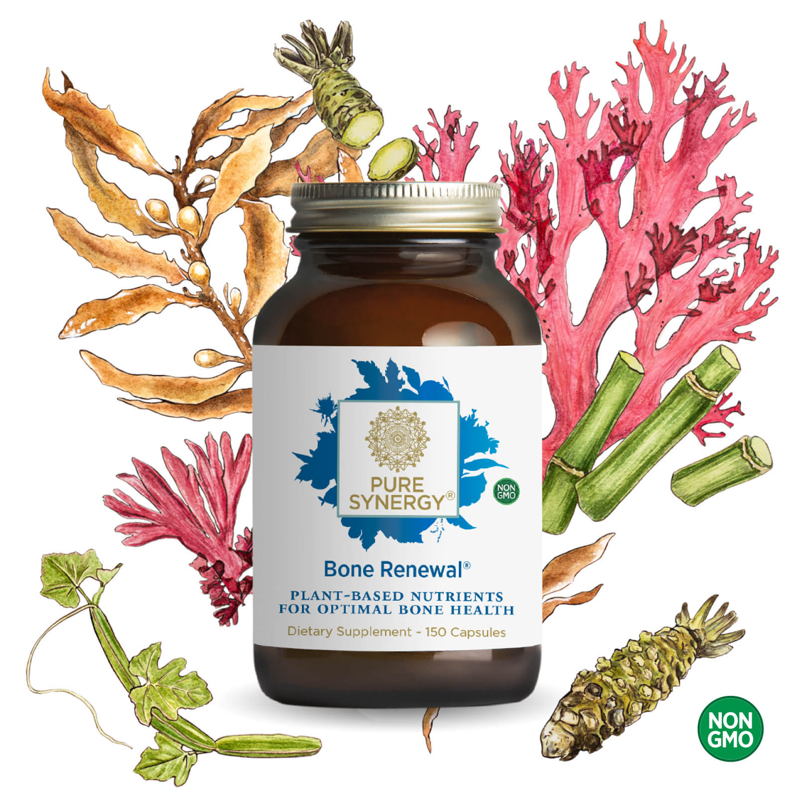 A bottle of Bone Renewal® by The Synergy Company is pictured with illustrated seaweed, bamboo, and herbs to emphasize its plant-based vitamins and minerals for bone health, featuring a green NON GMO label in the bottom right corner.
