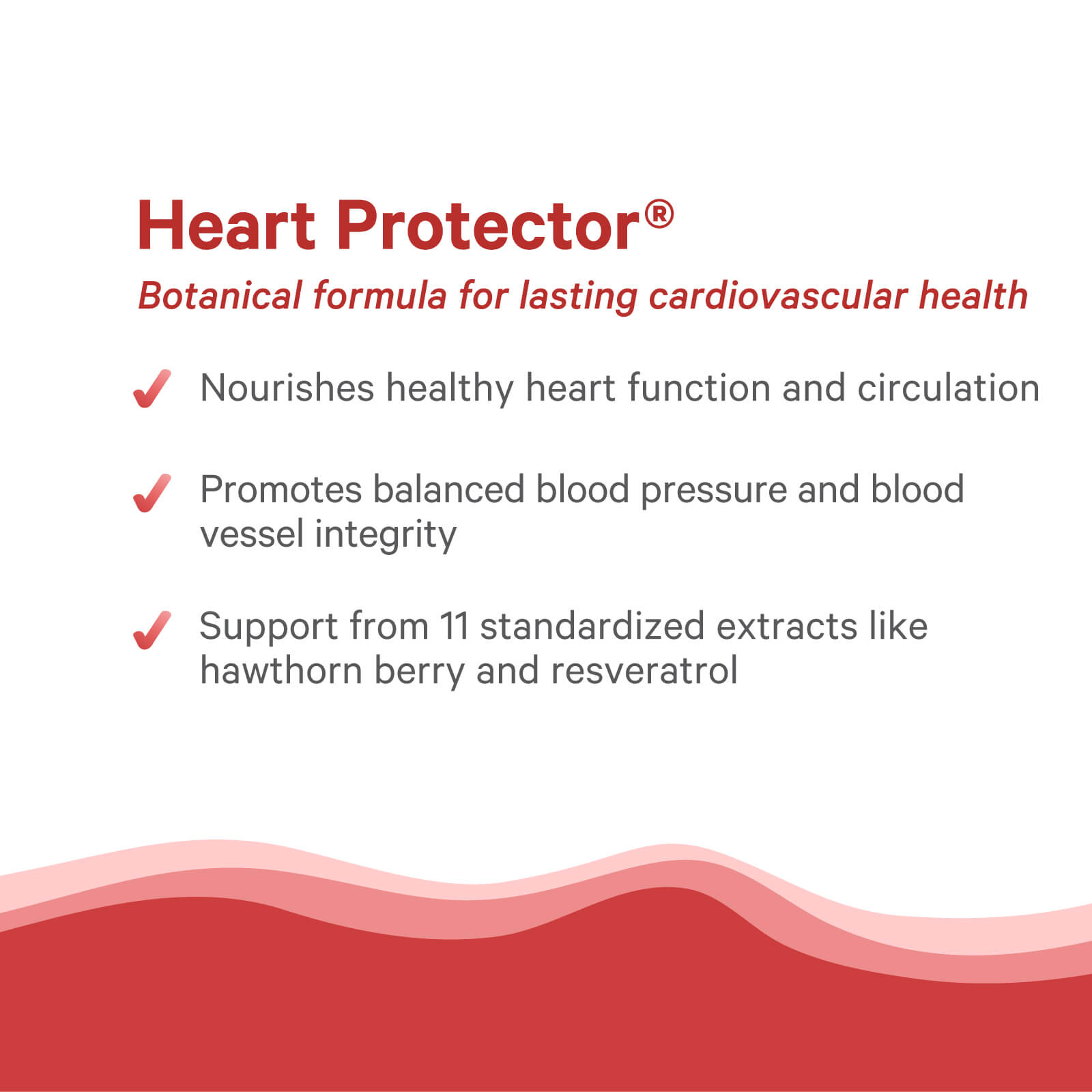 Heart Protector® by The Synergy Company supports cardiovascular health and circulation with 11 organic botanical extracts, including hawthorn berry and resveratrol, to help maintain healthy blood pressure and vessel integrity.