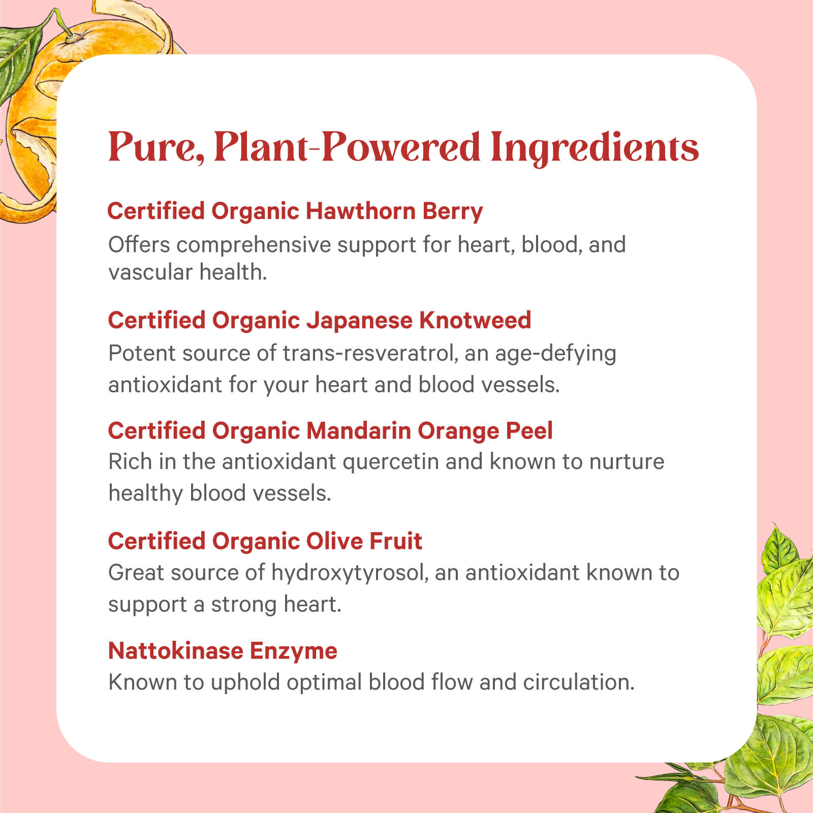 Heart Protector® by The Synergy Company is shown on a pink background with orange and green fruit illustrations. Key ingredients—hawthorn berry, mandarin orange peel, and nattokinase—support cardiovascular health.