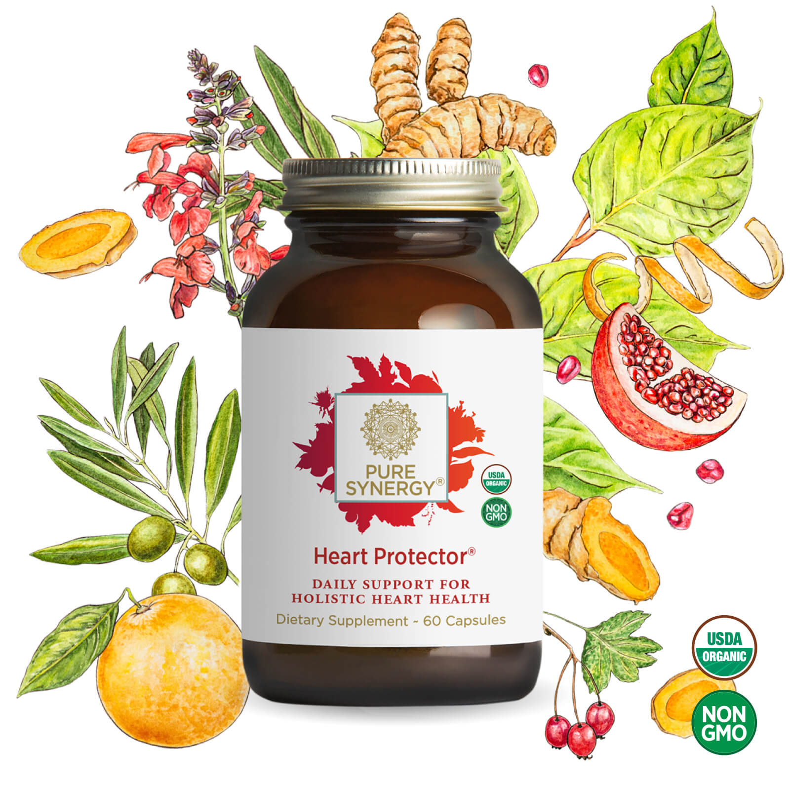 A bottle of Heart Protector® by The Synergy Company is displayed before vibrant herbs, fruits, and roots, showcasing its organic botanical blend for heart health, with USDA Organic and Non-GMO badges clearly visible.