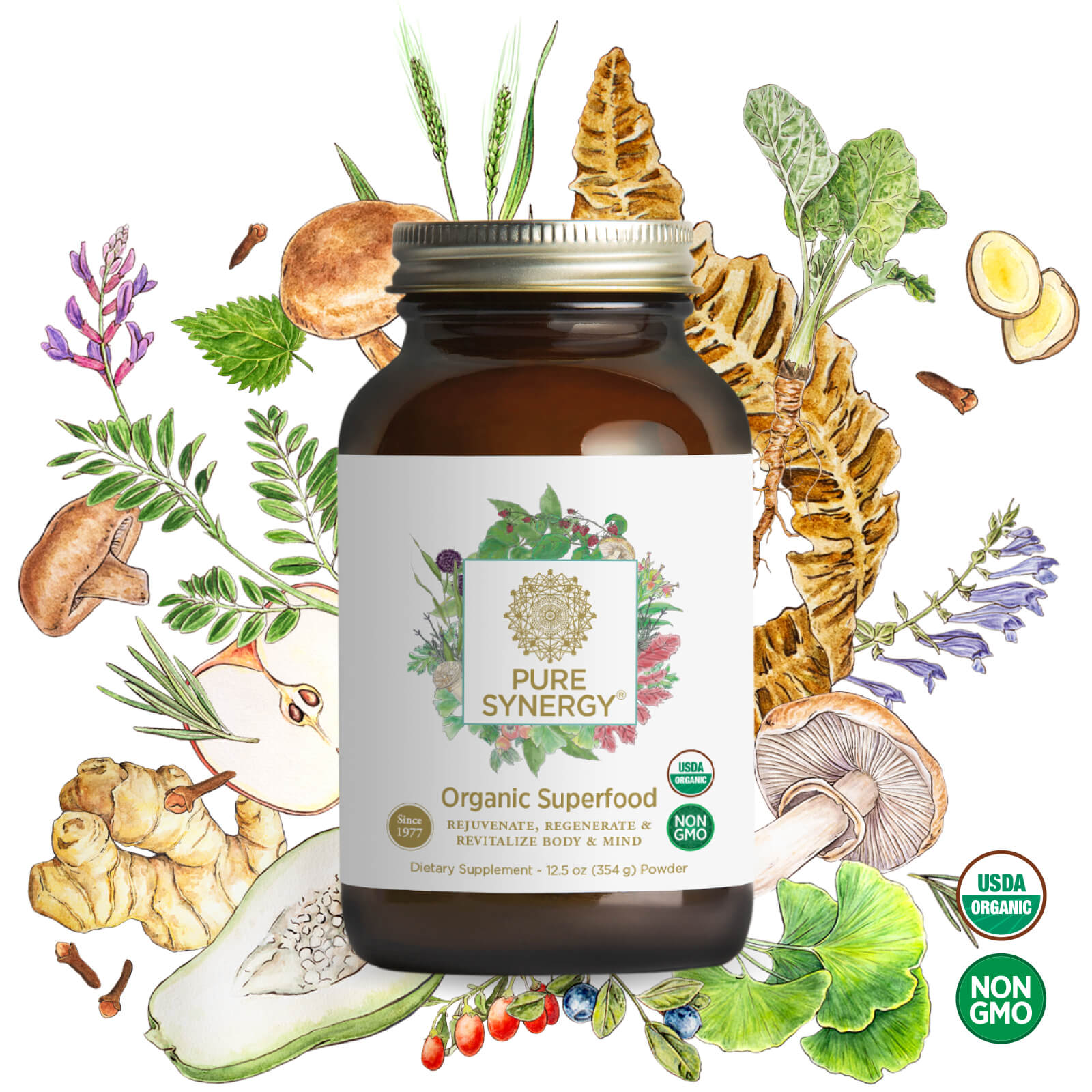 A brown bottle of The Synergy Company Pure Synergy® Organic Superfood — 12.5 oz Powder sits centered, surrounded by illustrated herbs, mushrooms, and plants. USDA Organic and Non-GMO labels appear in the bottom right corner.