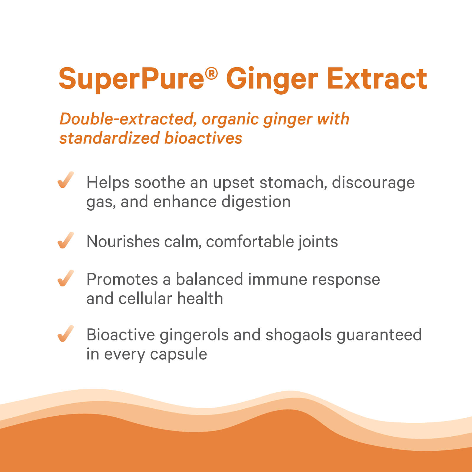Infographic highlighting benefits of SuperPure® Ginger Extract by The Synergy Company: soothes stomach, supports joints and immunity, and contains certified organic ginger extract with gingerols and shogaols. Orange design with checkmarks.