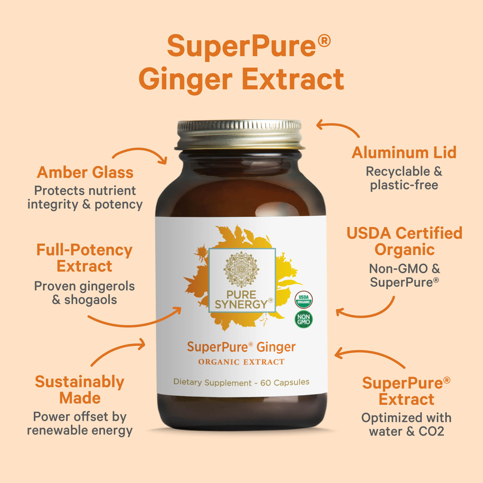 A bottle of The Synergy Company’s SuperPure® Ginger Extract is centered, with arrows highlighting its amber glass, recyclable aluminum lid, USDA Organic seal, gingerols and shogaols, sustainable production, and potent organic ginger extract.