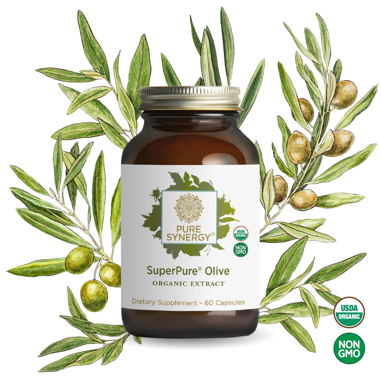 A bottle of The Synergy Company SuperPure® Olive Extract is centered, framed by illustrated olive branches with green olives, emphasizing its rich antioxidants. USDA Organic and Non-GMO badges are displayed in the lower right corner.