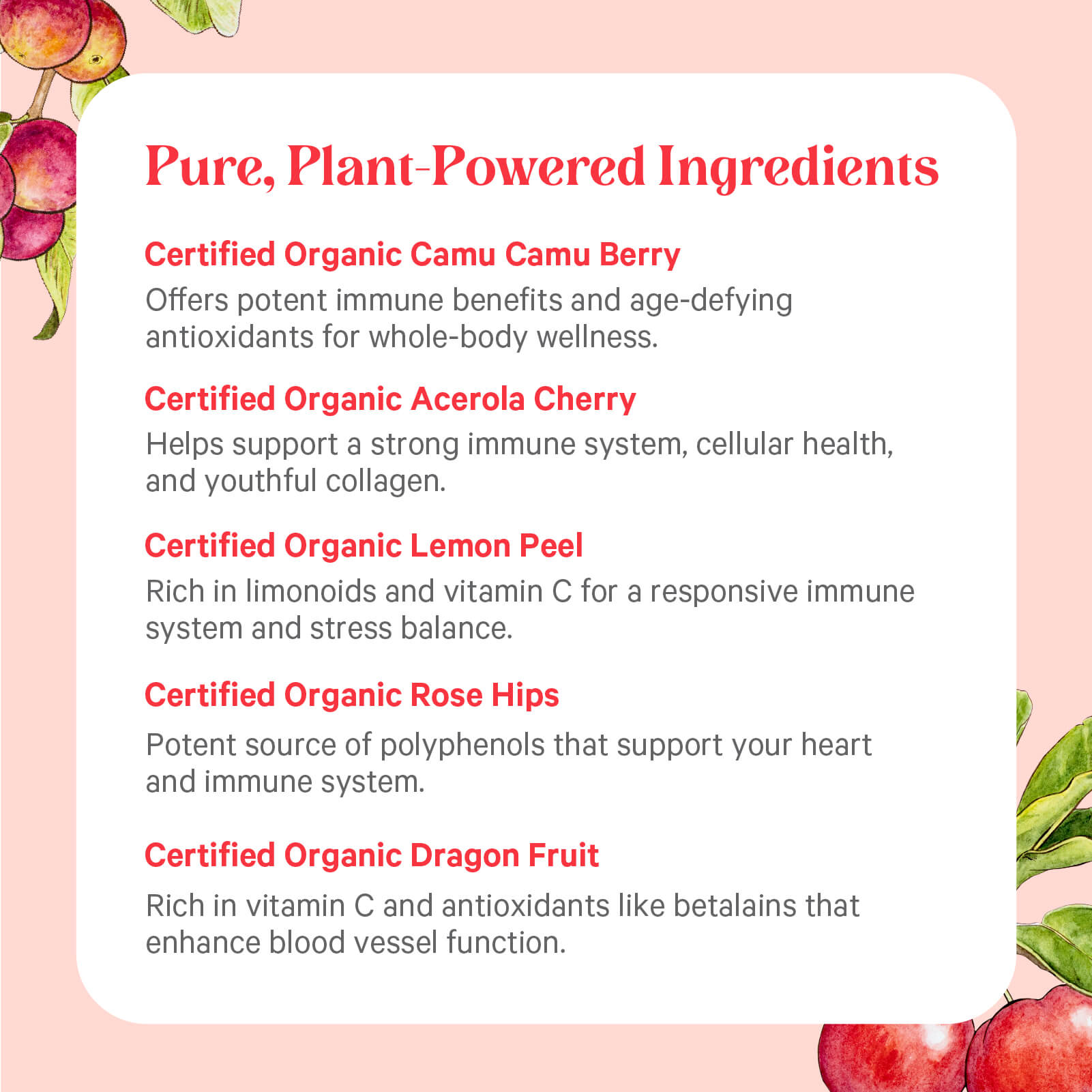 Discover the certified organic fruit ingredients in Organic Pure Radiance C® Capsules—such as camu camu berry, acerola cherry, lemon peel, rose hips, and dragon fruit—all excellent natural sources of vitamin C—presented on a white background with vibrant fruit illustrations highlighting their health benefits.