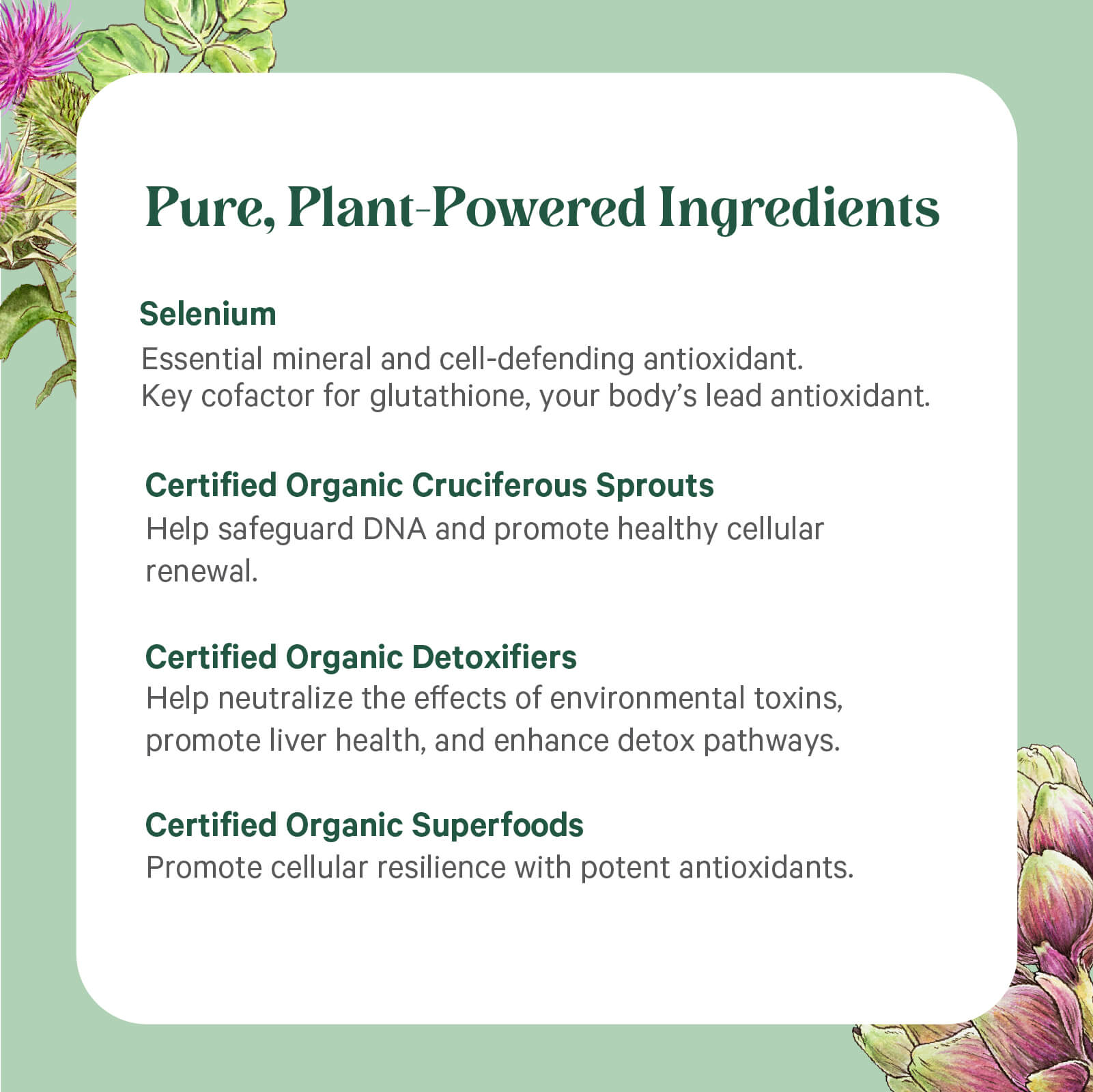 A list titled Pure, Plant-Powered Ingredients for Cell Protector™ by The Synergy Company showcases the cellular benefits of selenium, certified organic cruciferous sprouts, detoxifiers, and superfoods on a green floral background.
