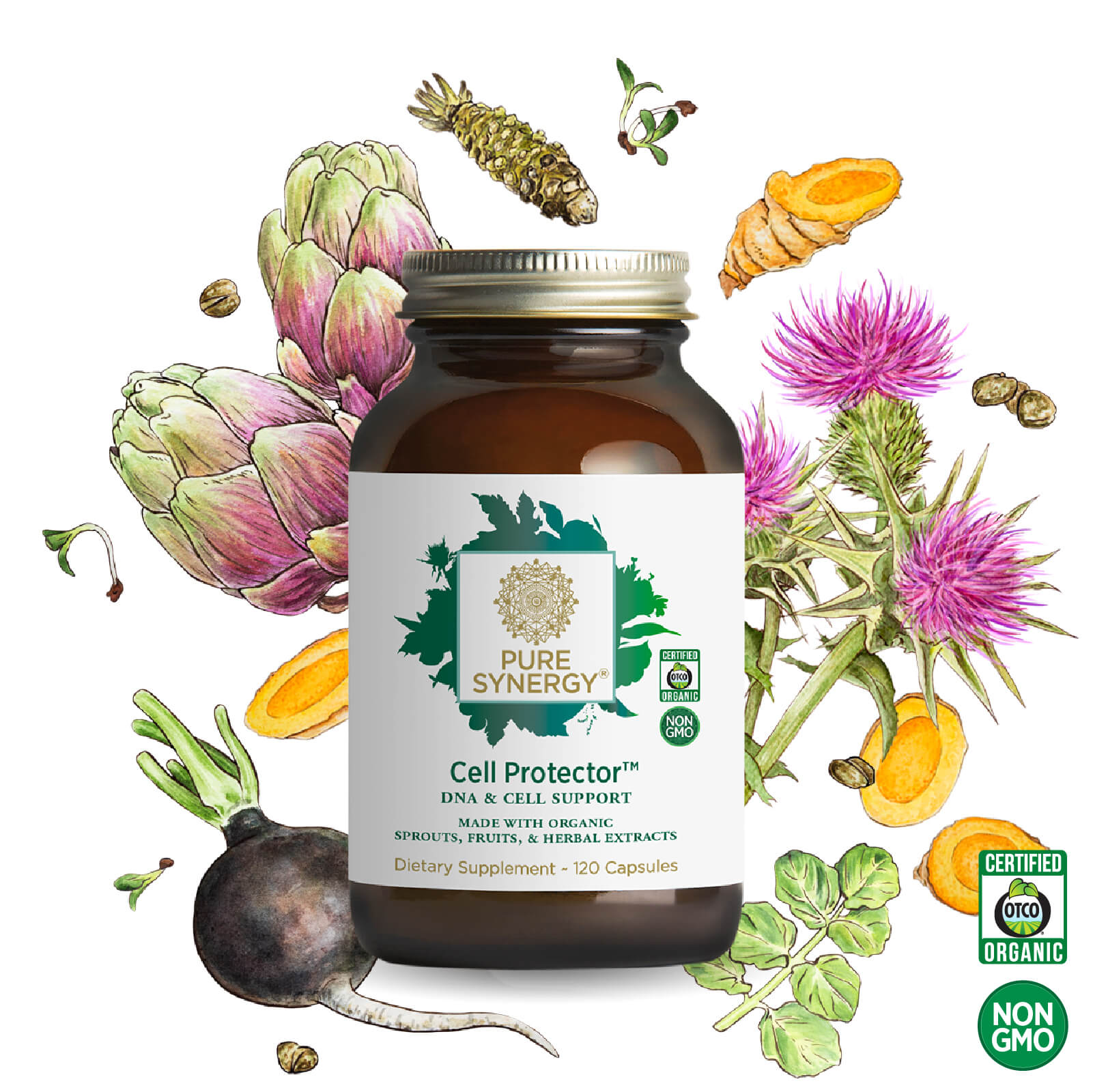 A brown bottle of Cell Protector™ by The Synergy Company sits among vibrant images of artichoke, turmeric, milk thistle, and black radish. Labels display Certified Organic and Non-GMO. This formula supports healthy aging as a powerful cellular defender.