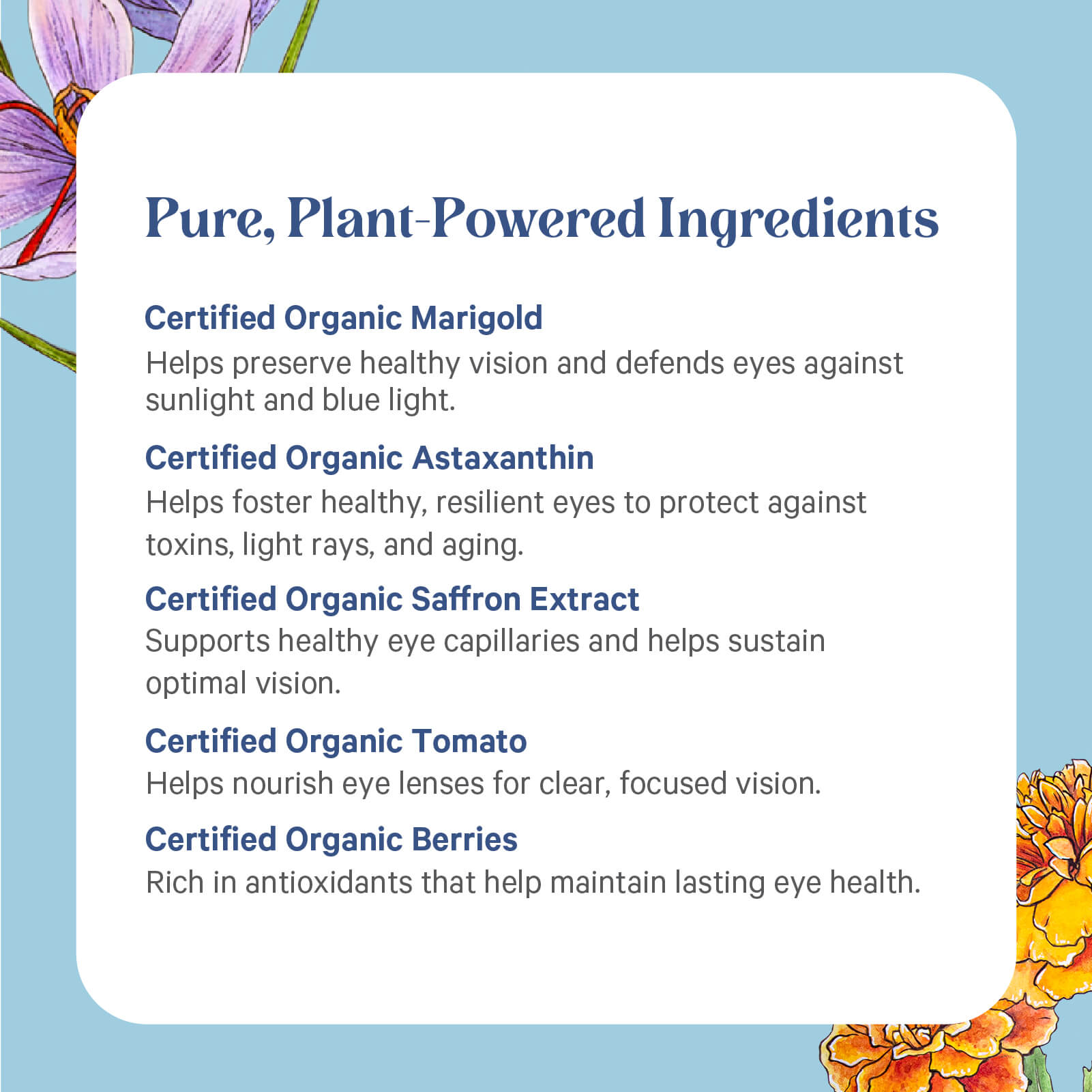 Explore Eye Protector® by The Synergy Company: A blend of marigold, astaxanthin, saffron, tomato, and berry extracts supports eye health—shown on a blue floral background for a natural vision supplement.