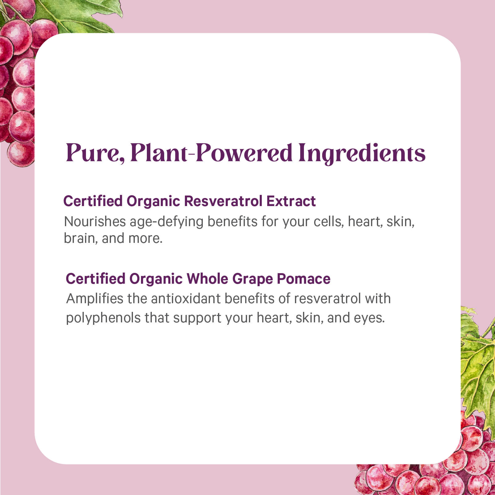 A purple and white graphic with grape art promotes The Synergy Company's SuperPure® Resveratrol Extract, featuring Certified Organic Resveratrol and Whole Grape Pomace for antioxidant power and heart health.