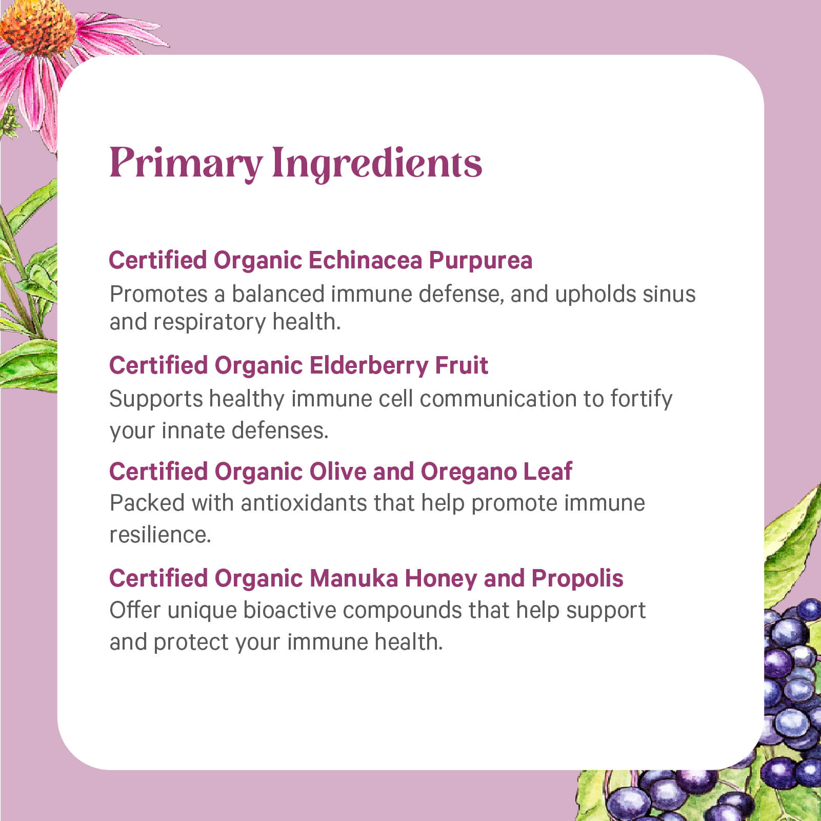 A graphic for The Synergy Company's Rapid Rescue® features Certified Organic Echinacea Purpurea, Elderberry Fruit, Olive and Oregano Leaf, Manuka Honey, and Propolis—organic herbal extracts for rapid immune support—on a purple floral background.