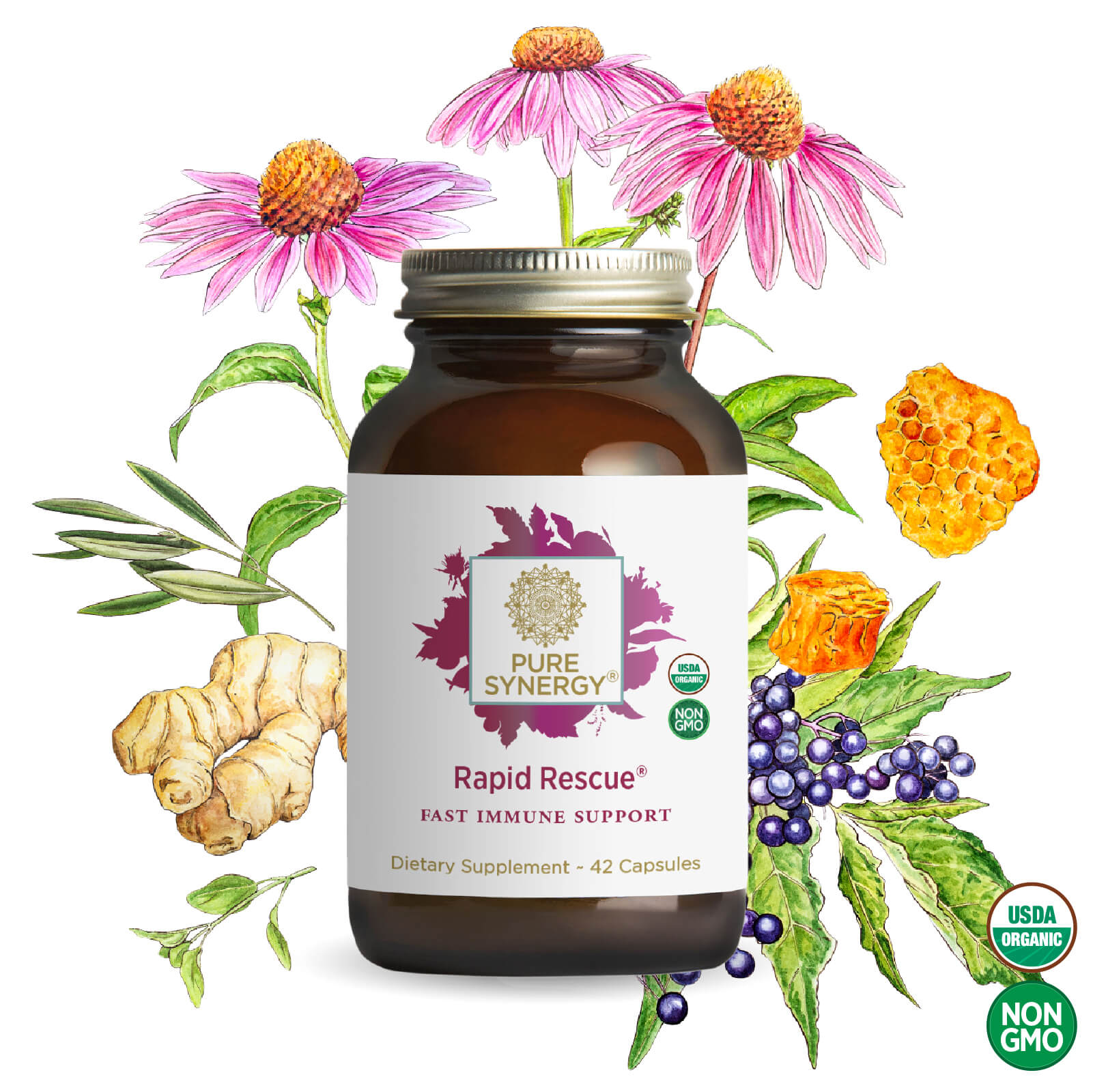 A bottle of The Synergy Company Rapid Rescue® is surrounded by illustrations of echinacea flowers, elderberries, honeycomb, and green leaves. USDA Organic and Non-GMO logos highlight its rapid immune support with organic herbal extracts.