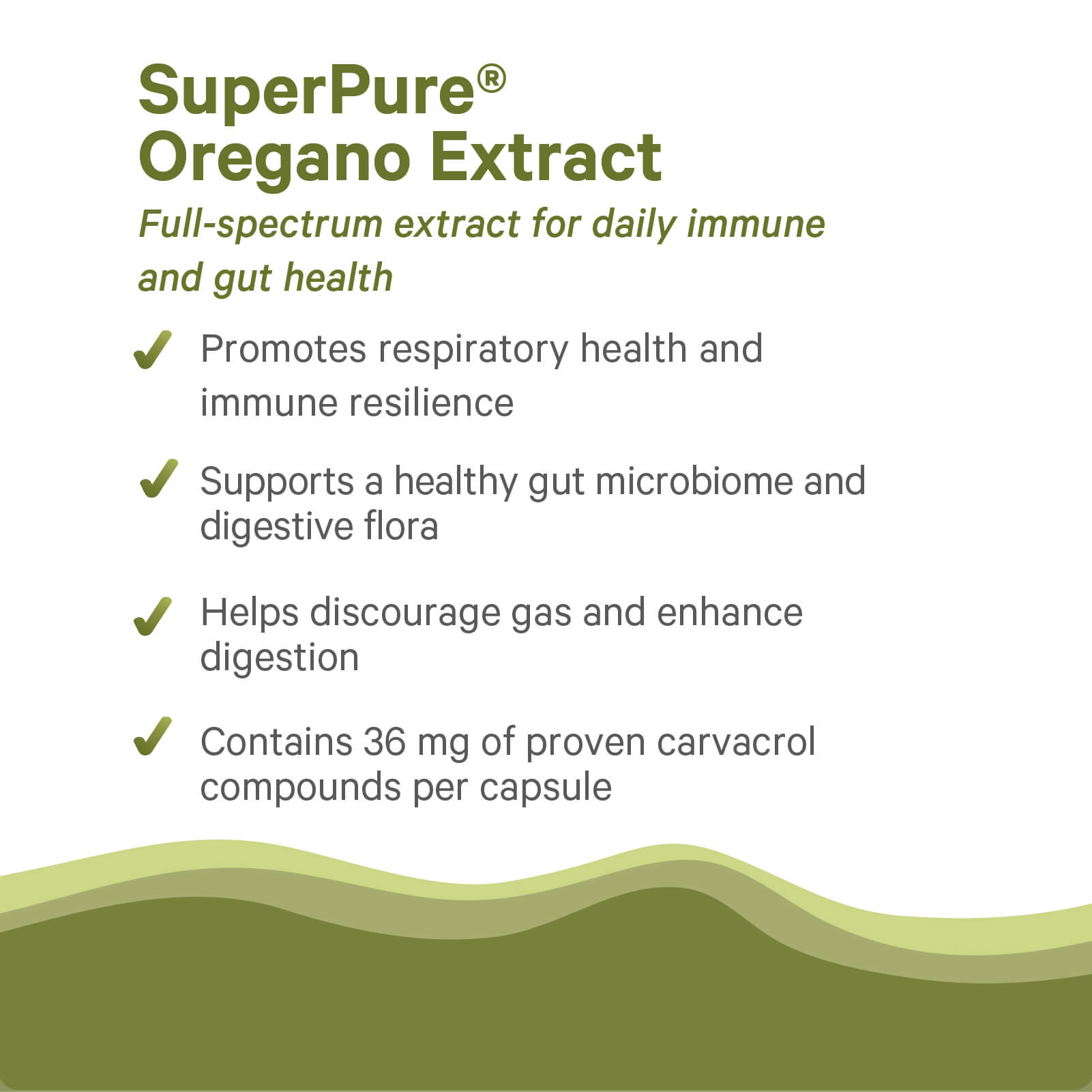 The Synergy Company’s SuperPure® Oregano Extract supports immune health and digestion with organic oregano oil, 36 mg carvacrol per capsule, and benefits like less gas and improved gut wellness.
