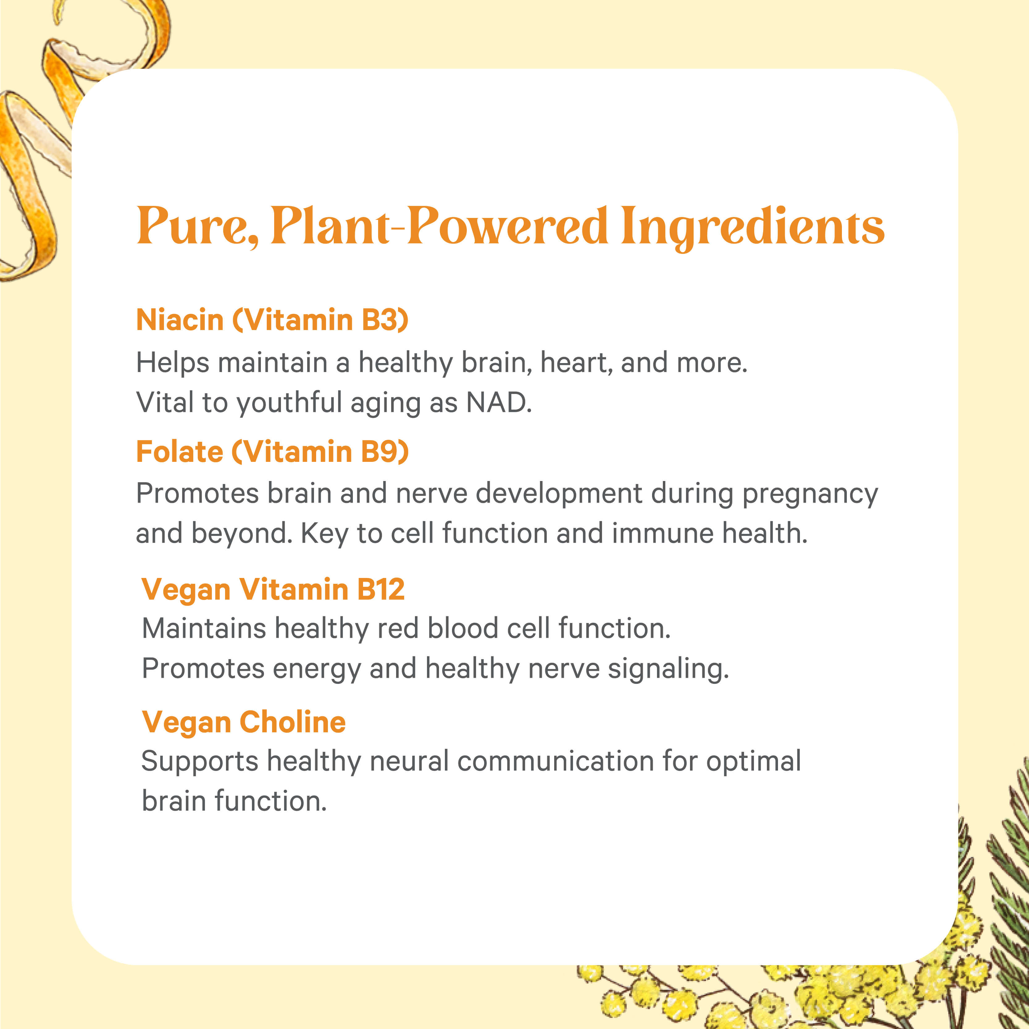 Super B-Complex™ by The Synergy Company: a plant-powered blend of Niacin (B3), Folate (B9), Vegan B12, and Vegan Choline—highlighted on a pale yellow background with floral accents for natural energy benefits.