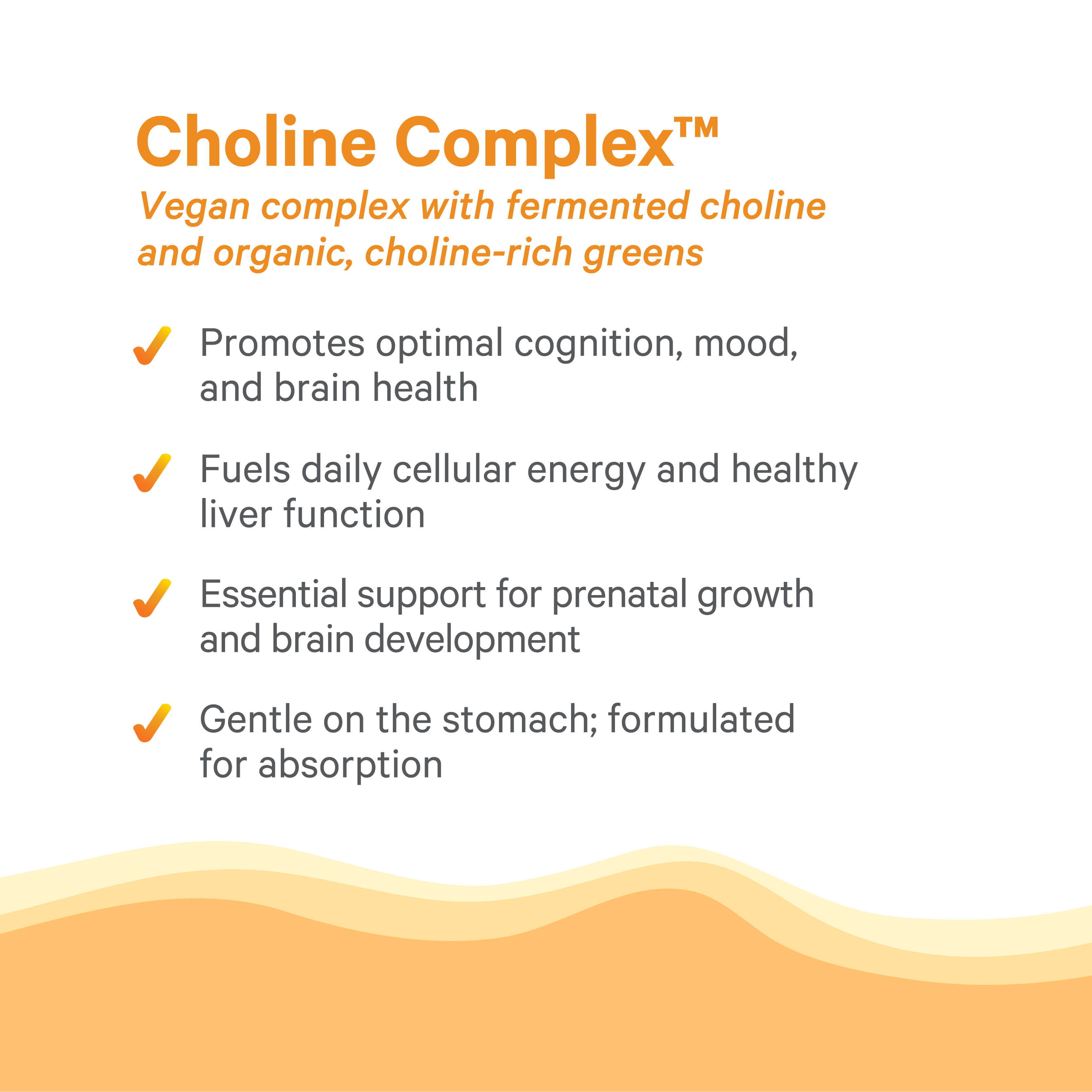 Infographic titled Choline Complex™ by The Synergy Company highlights benefits: supports cognition, mood, brain and liver health, prenatal development, and is gentle on the stomach. Features orange text, check marks, and a wave design at the bottom.