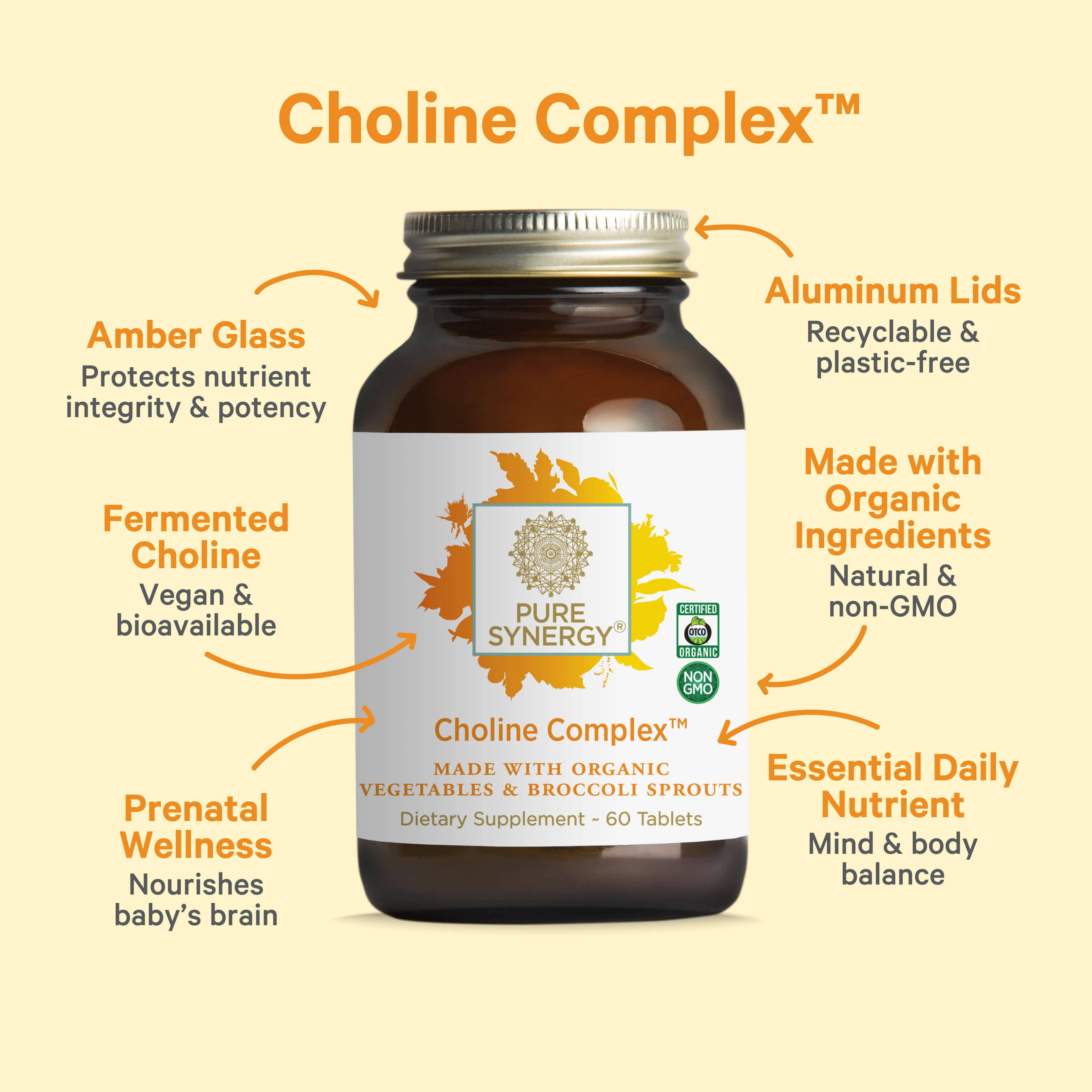 A bottle of The Synergy Company's Brainpower Bundle is showcased with labels highlighting its features: amber glass, aluminum lids, fermented choline, Klamath Lake algae, organic ingredients, prenatal wellness benefits, and essential daily nutrients. The bottle contains 60 tablets.