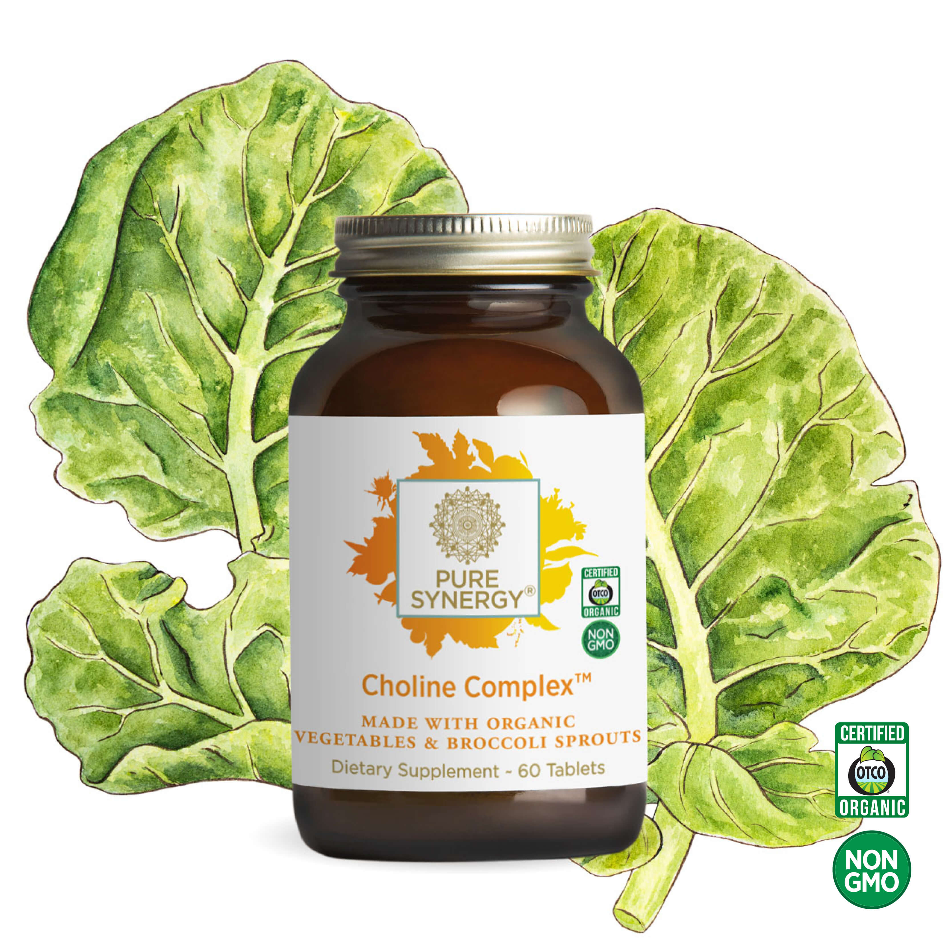 A bottle of The Synergy Company Choline Complex™ choline supplement appears in front of illustrated green leaves, featuring Certified Organic and Non-GMO badges and emphasizing its blend of cruciferous greens for added nourishment.