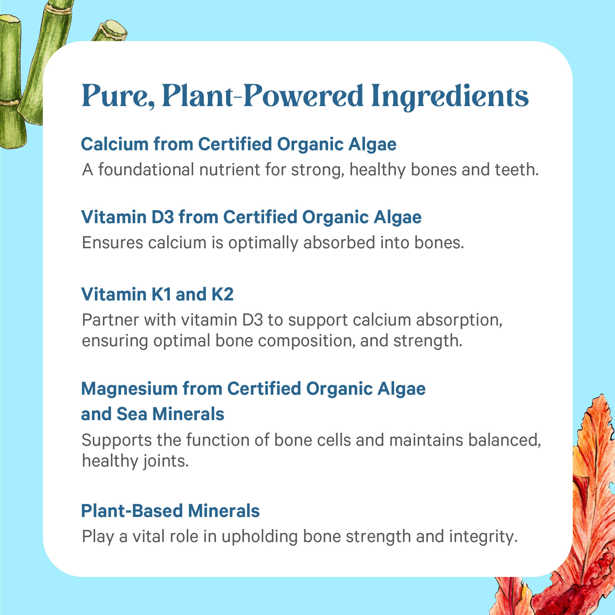 An infographic titled Bone Renewal® by The Synergy Company highlights natural bone health benefits with calcium, vitamins D3, K1, K2, magnesium, and bioavailable plant-based minerals from certified organic algae and sea minerals against a backdrop of plant illustrations.
