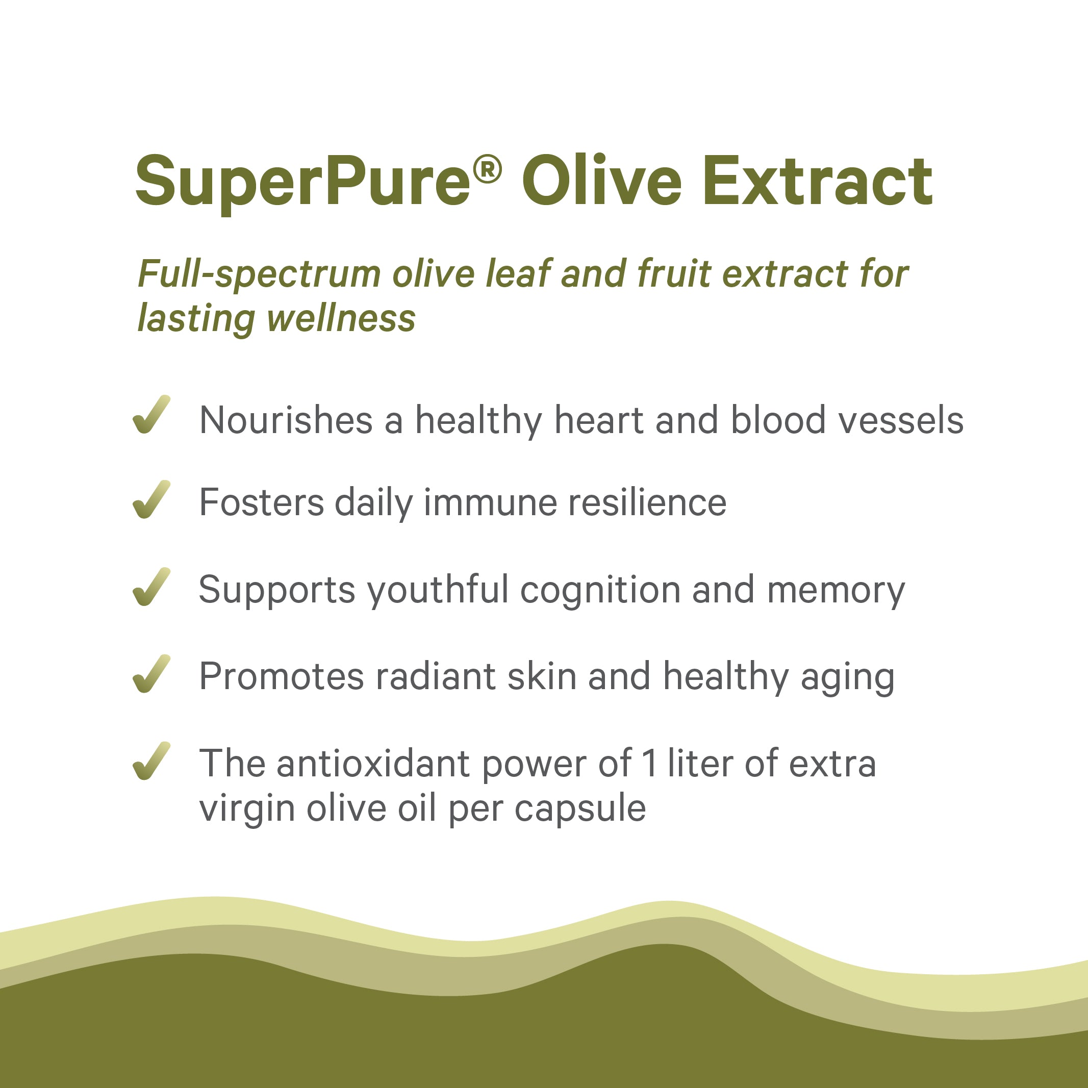A flyer features SuperPure® Olive Extract, emphasizing its abundant antioxidants and potent polyphenols with five health-related claims, set against a white background accented by green wavy lines at the bottom.