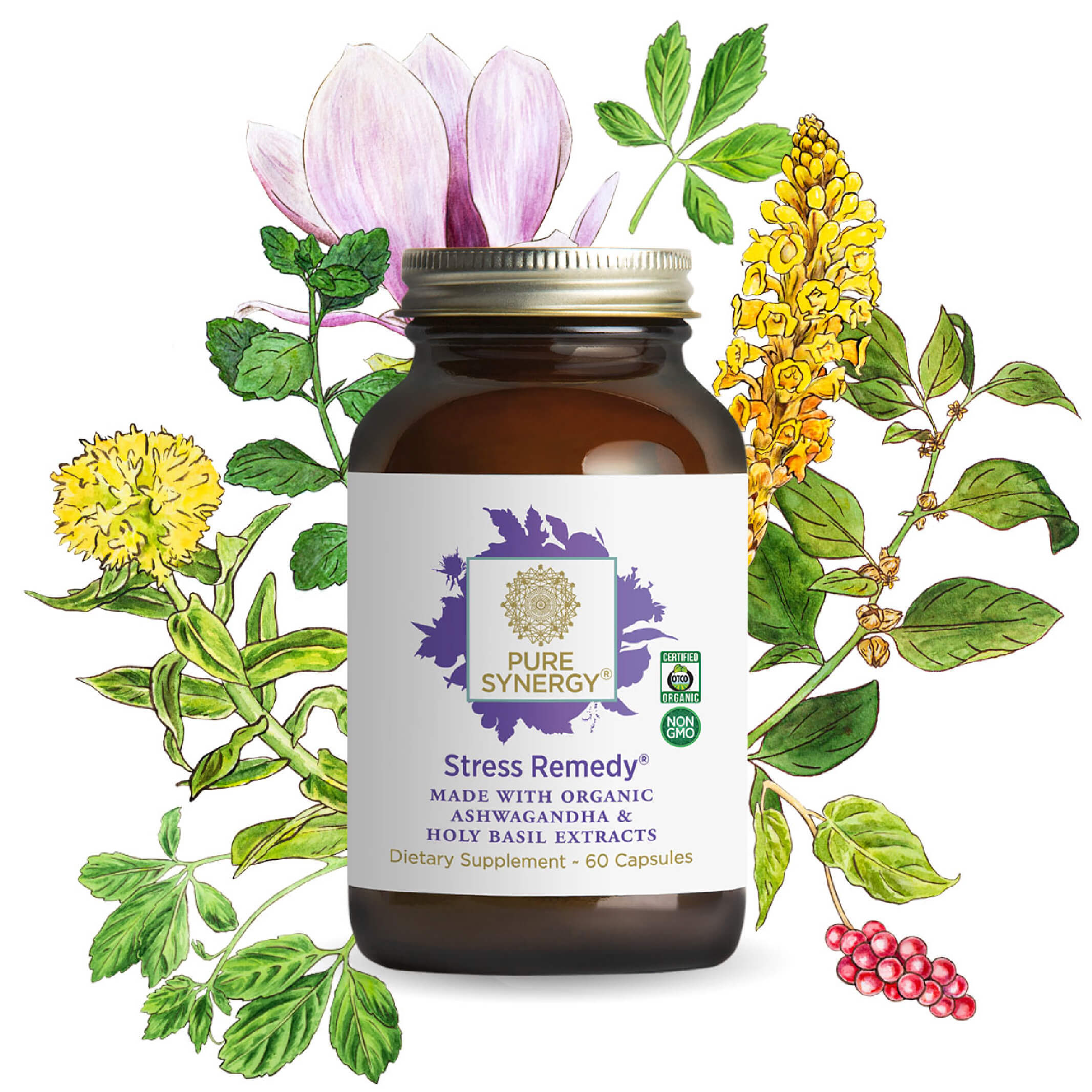 A bottle of Stress Remedy® by The Synergy Company is displayed with botanical illustrations. This certified organic, non-GMO dietary supplement uses ashwagandha and rhodiola extracts to aid stress balance and enhance focus with powerful adaptogens.