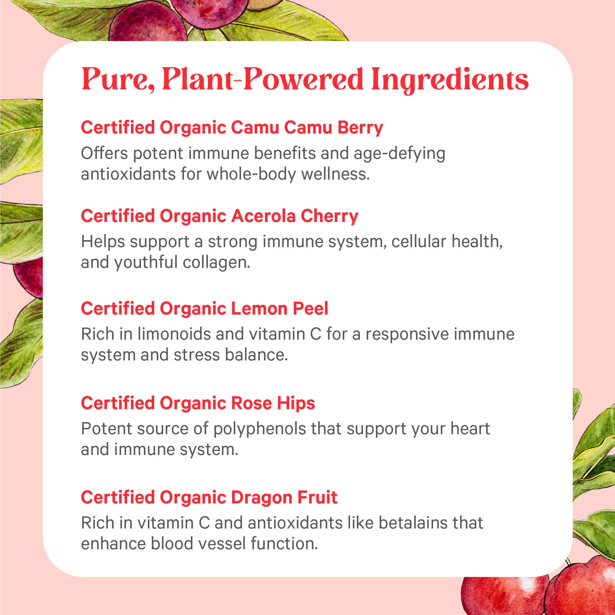 Explore the nutrient-rich profile of Organic Pure Radiance C® Powder, which features certified organic plant ingredients such as camu camu berry, acerola cherry, lemon peel, rose hips, and dragon fruit—all potent sources of natural vitamin C—displayed against a vibrant pink fruit-themed background.