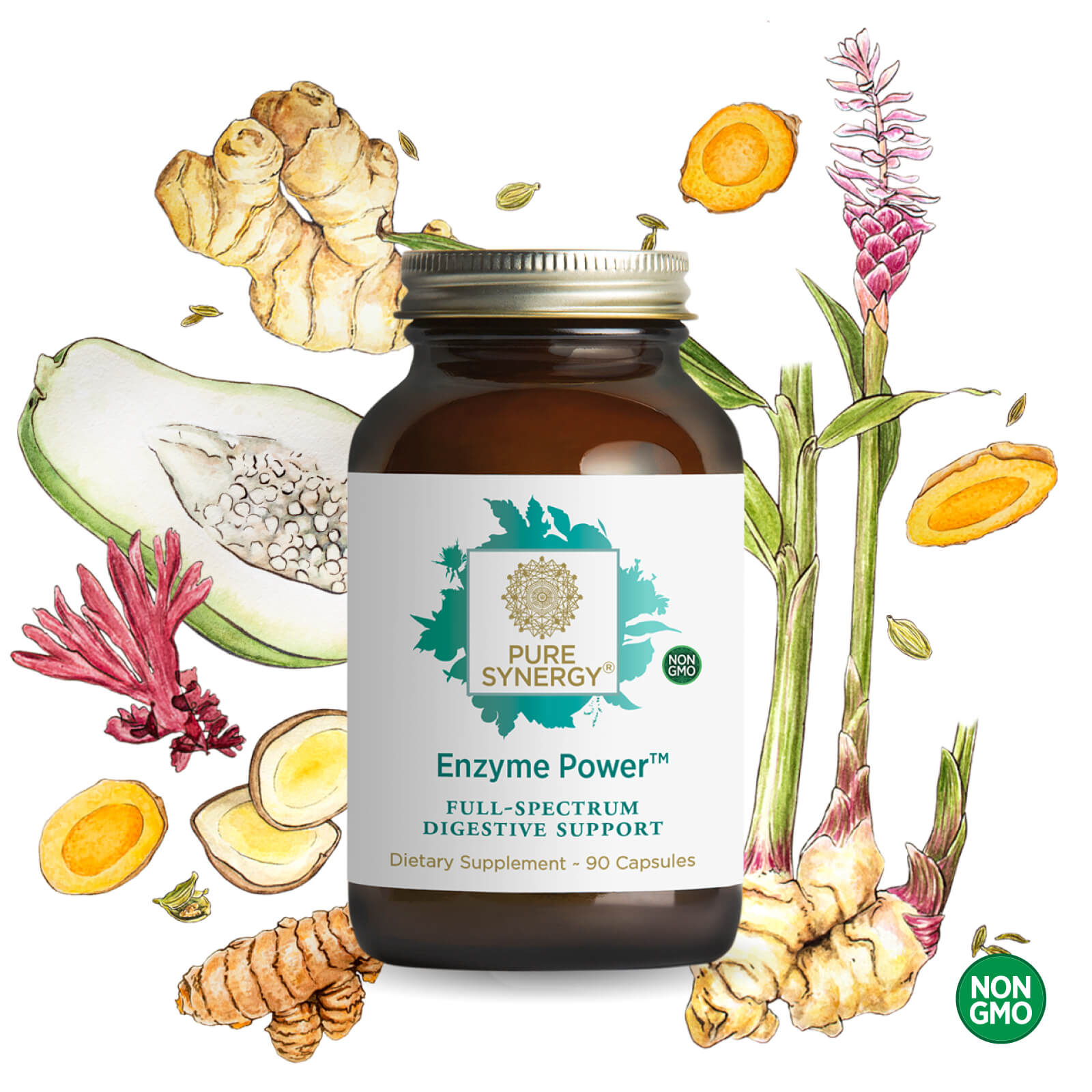 A bottle of Enzyme Power™ by The Synergy Company is surrounded by illustrated roots, leaves, turmeric, and papaya. A green Non GMO label in the bottom right highlights its support for nutrient absorption.