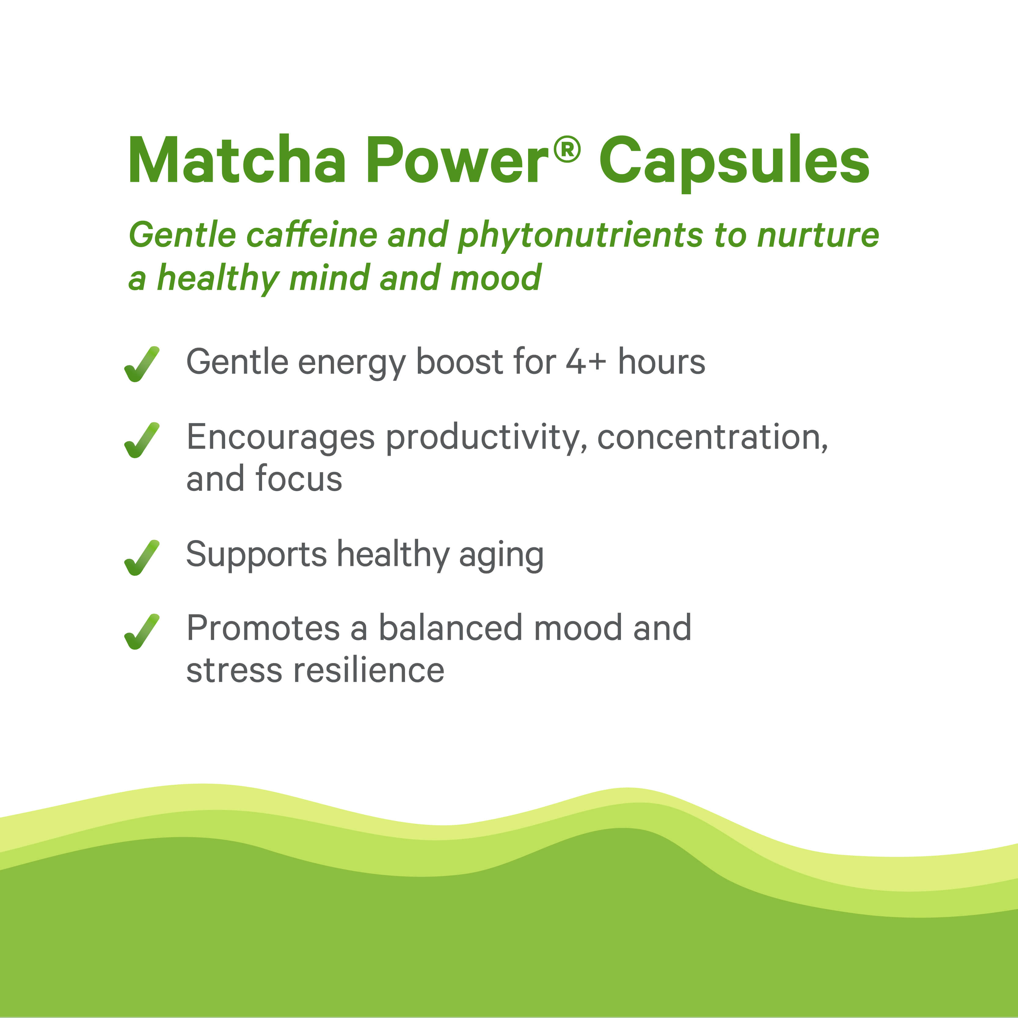 Image highlighting The Synergy Company’s Organic Matcha Power® Capsules: gentle caffeine and phytonutrients from organic matcha powder for steady energy, productivity, healthy aging, balanced mood, and stress resilience—benefits that last 4+ hours.