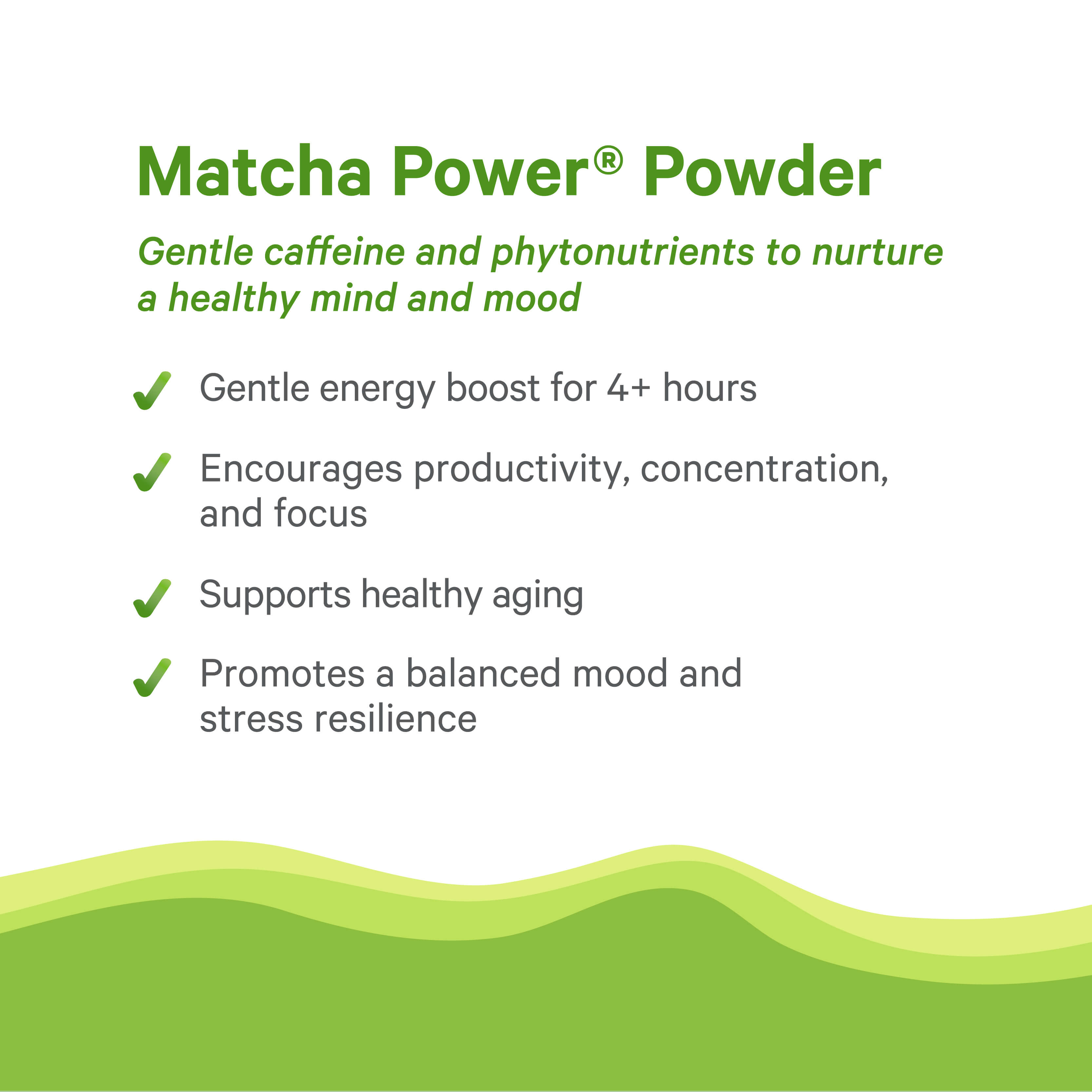 Organic Matcha Power® Powder by The Synergy Company showcases benefits on a white and green background: gentle energy boost, improved focus, healthy aging support, and mood and stress resilience—all with premium Japanese organic matcha.
