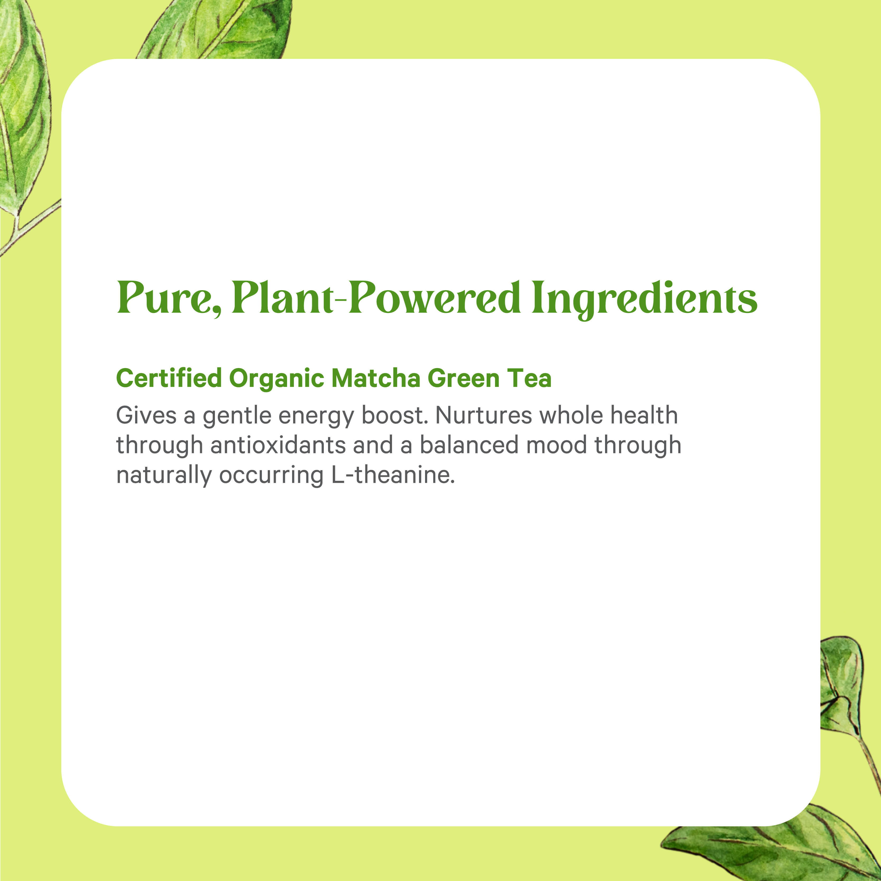 A graphic with a light green background and green leaves. Text: Organic Matcha Power® Powder by The Synergy Company. Ceremonial-grade matcha for gentle energy, antioxidants, and L-theanine to support whole health.