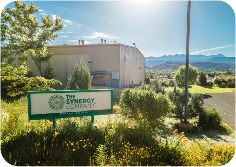 A sunlit building with trees and wildflowers in front, featuring a green sign that reads The Synergy Company and mountains visible in the background.