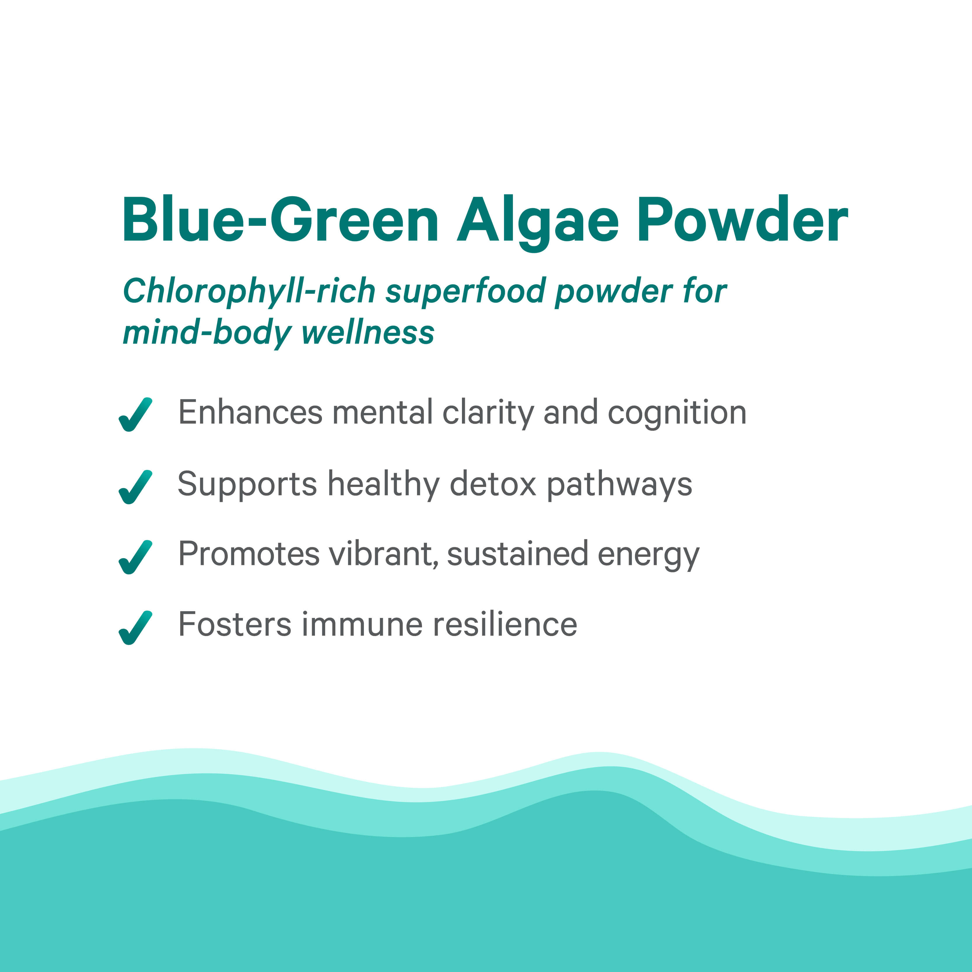 Informational graphic for The Synergy Company Organic Blue-Green Algae Powder, highlighting benefits: boosts mental clarity, supports detox, promotes energy, and strengthens immunity. Features wavy teal accents at the bottom.