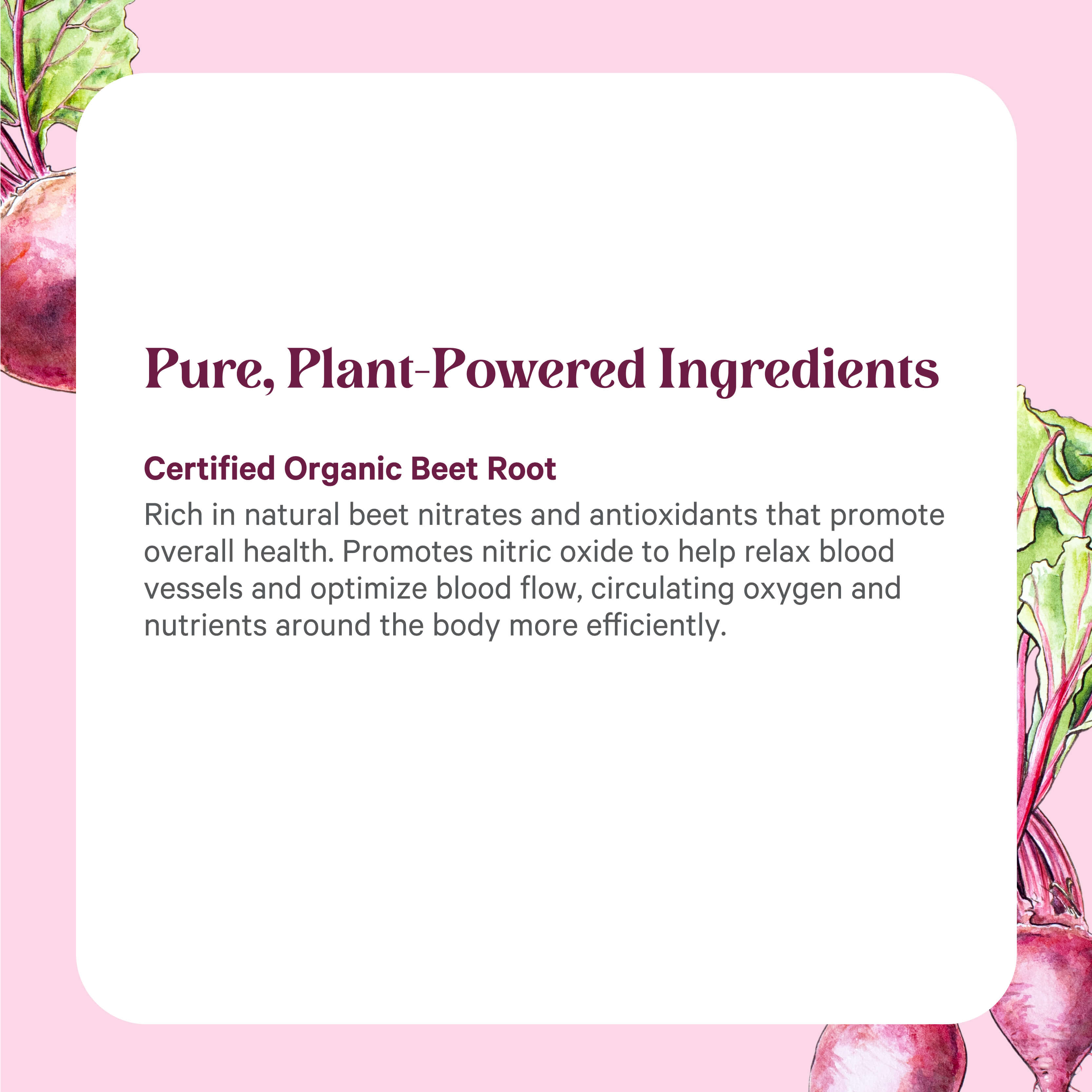 A pink background with beet illustrations frames a white box featuring The Synergy Company’s Organic Beet Juice Powder, highlighting natural nitrates and health benefits for blood flow, oxygenation, and nutrient circulation.