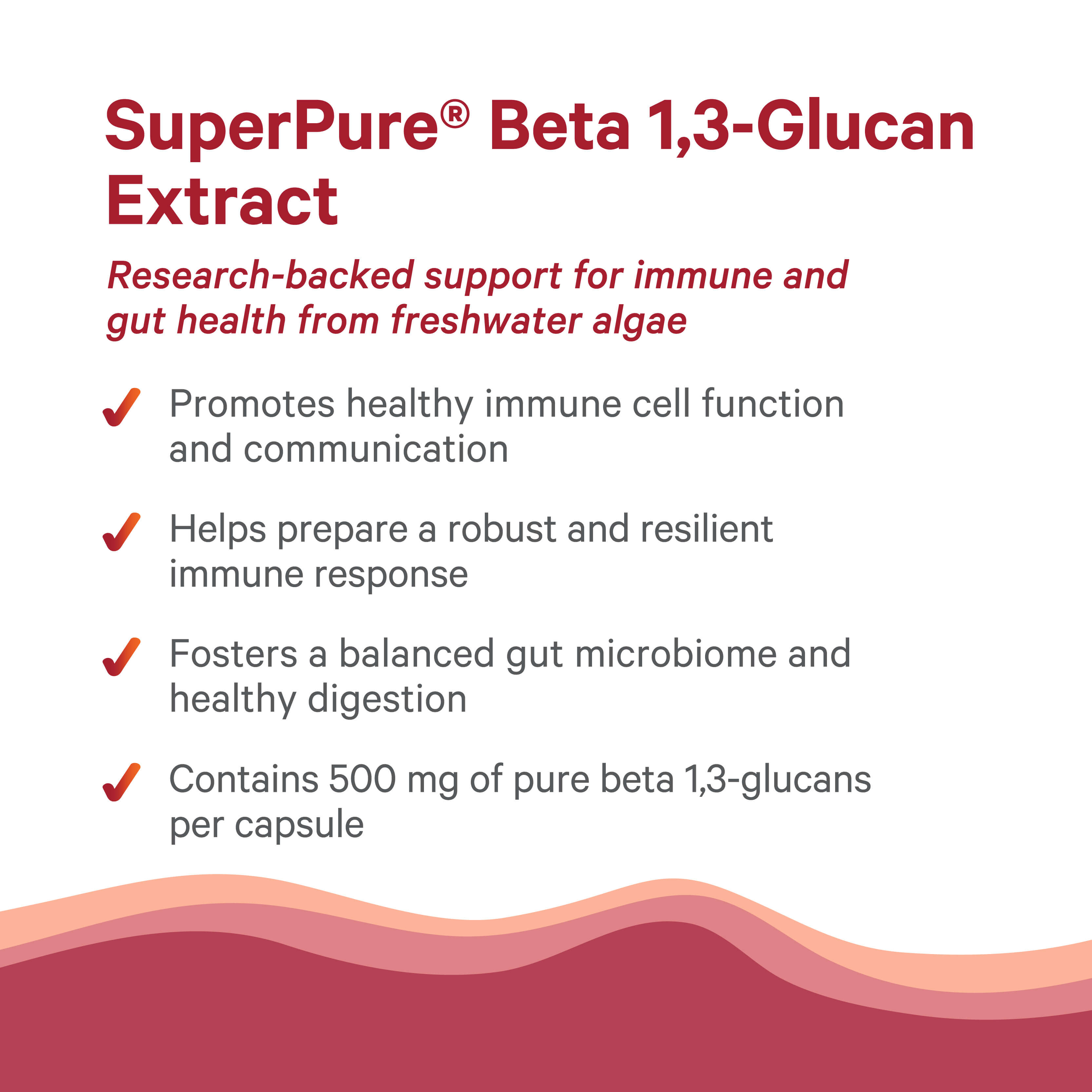 The Synergy Company's SuperPure® Beta 1,3-Glucan Extract provides 500 mg per capsule, supports immune health, boosts immune cell activity and response, and helps balance the gut microbiome.