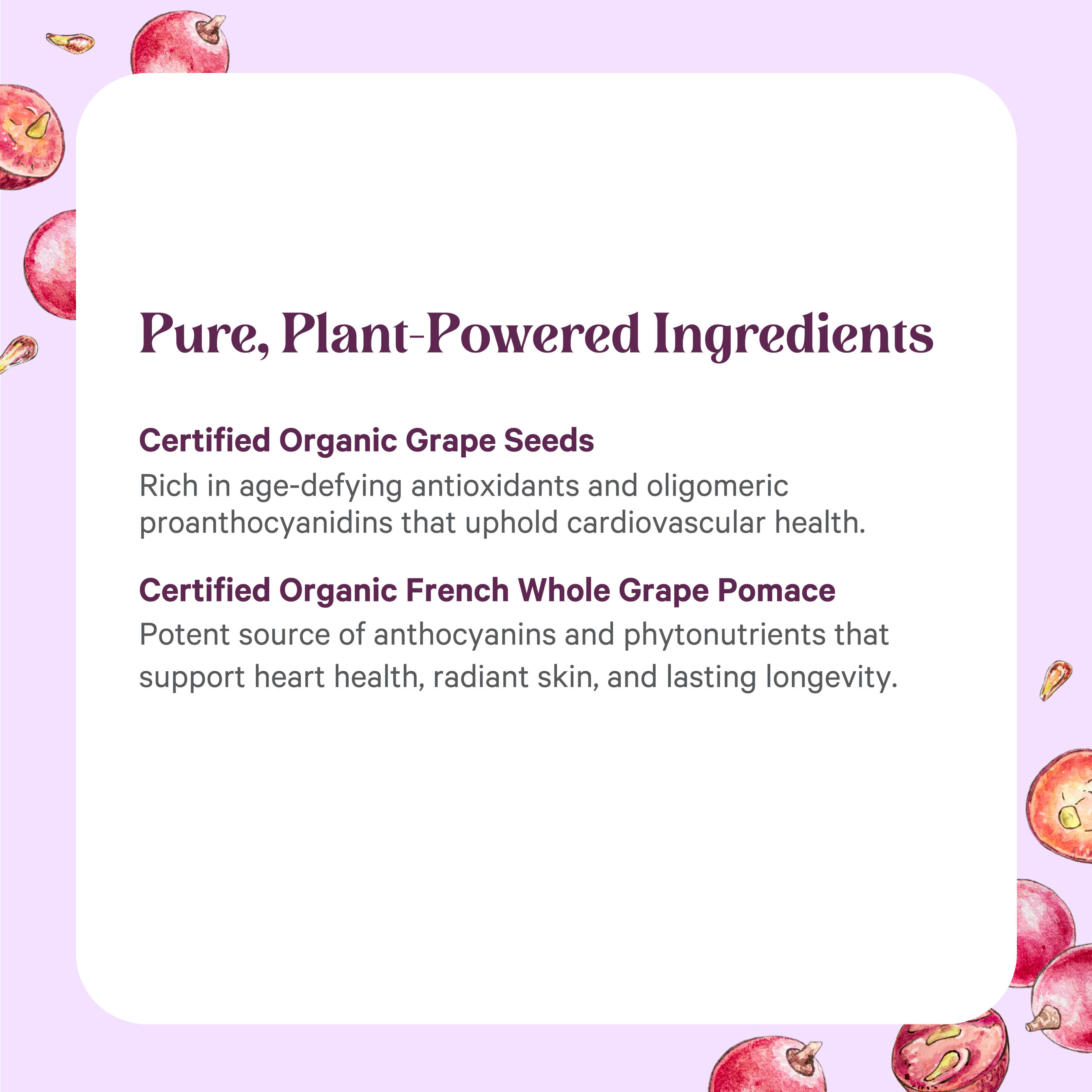 A white SuperPure® Grape Seed Extract box by The Synergy Company sits on a purple background with grape halves, emphasizing its antioxidant power from certified organic grape seed extract and French whole grape pomace for heart and skin health.