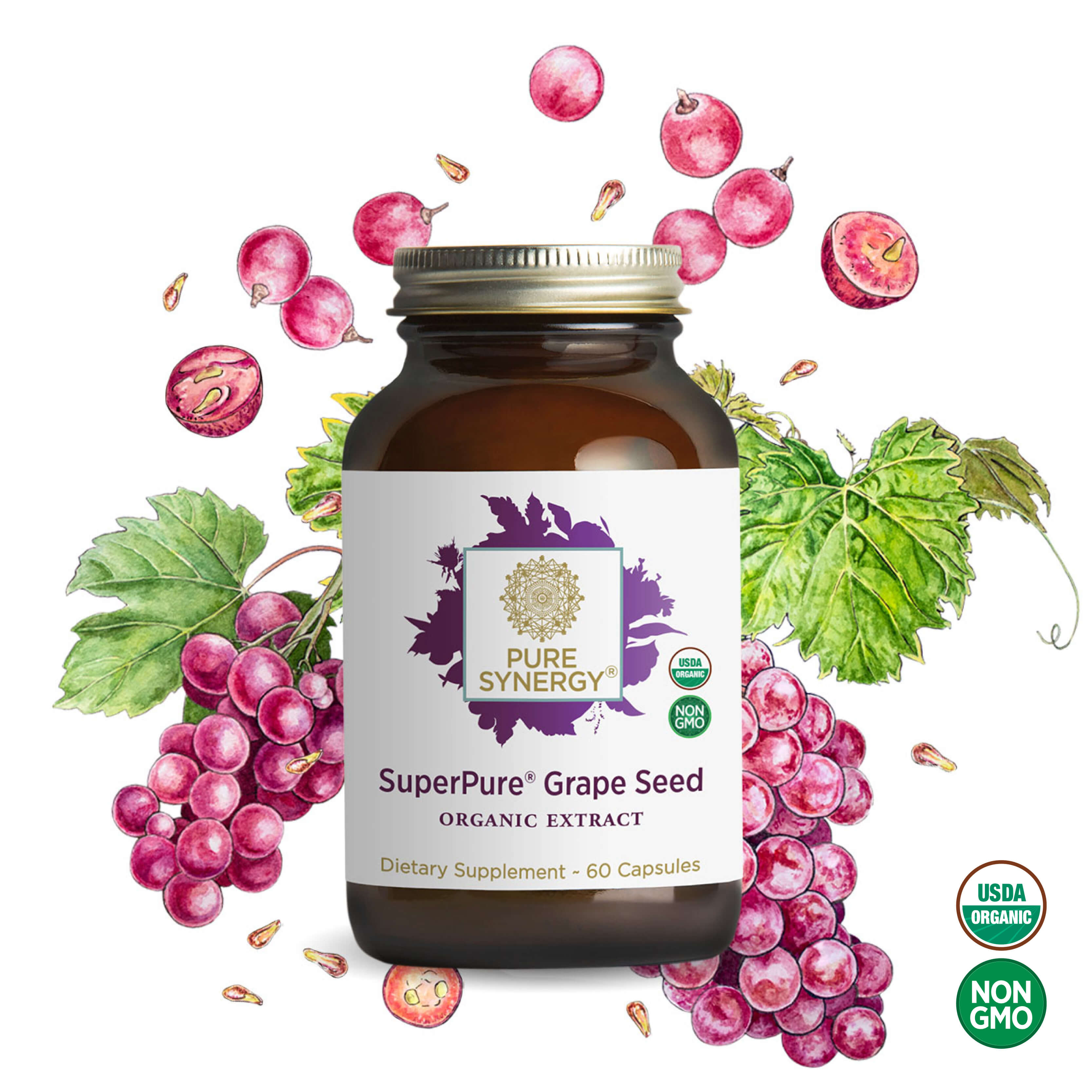 A bottle of The Synergy Company SuperPure® Grape Seed Extract capsules is surrounded by illustrated grape leaves and grapes. USDA Organic and Non-GMO labels appear in the corner, highlighting its antioxidant potency.