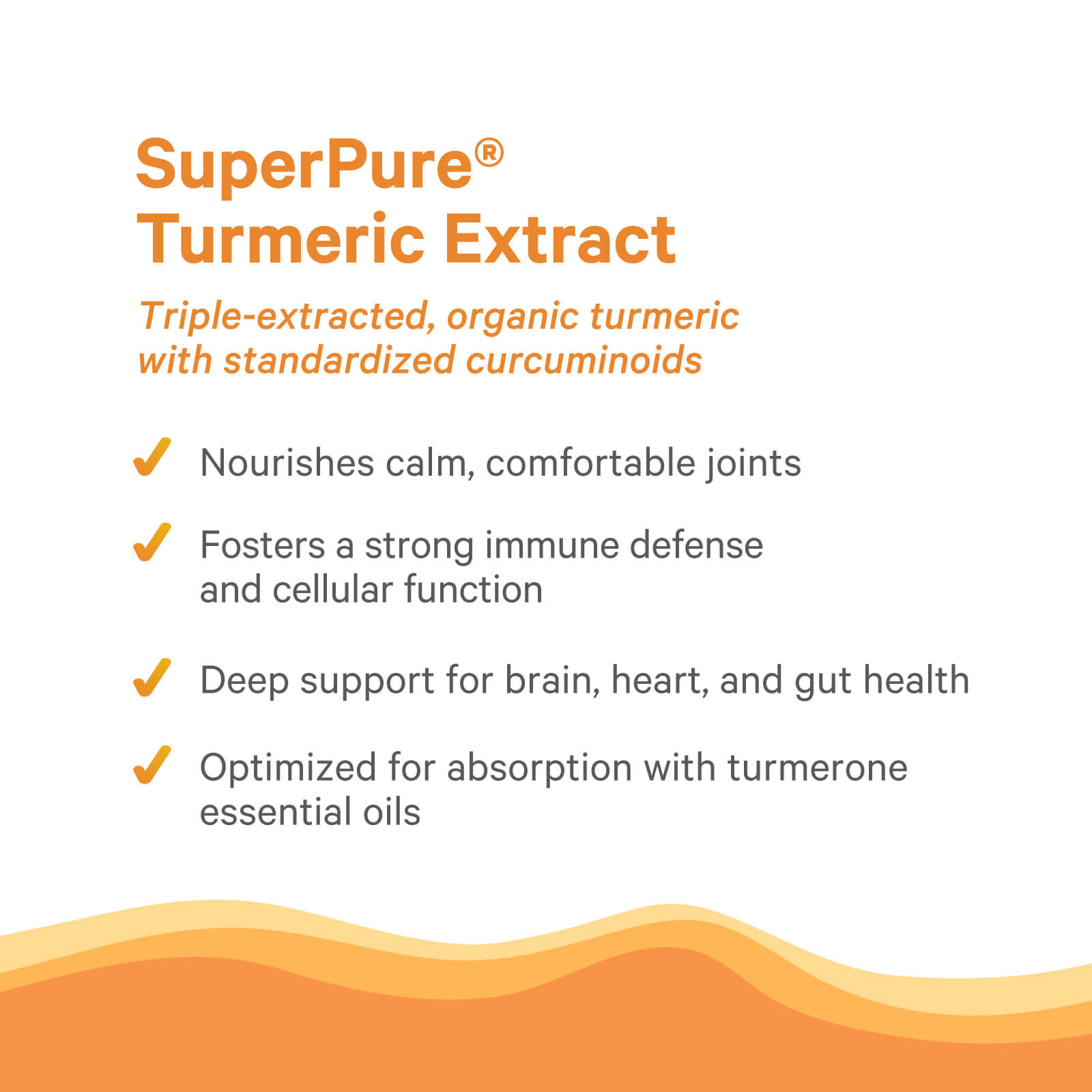 Infographic titled SuperPure® Turmeric Extract by The Synergy Company features its full-spectrum complex, showing four benefits: joint nourishment, immune and cellular boost, brain/heart/gut support, and optimized absorption with turmerone oils.