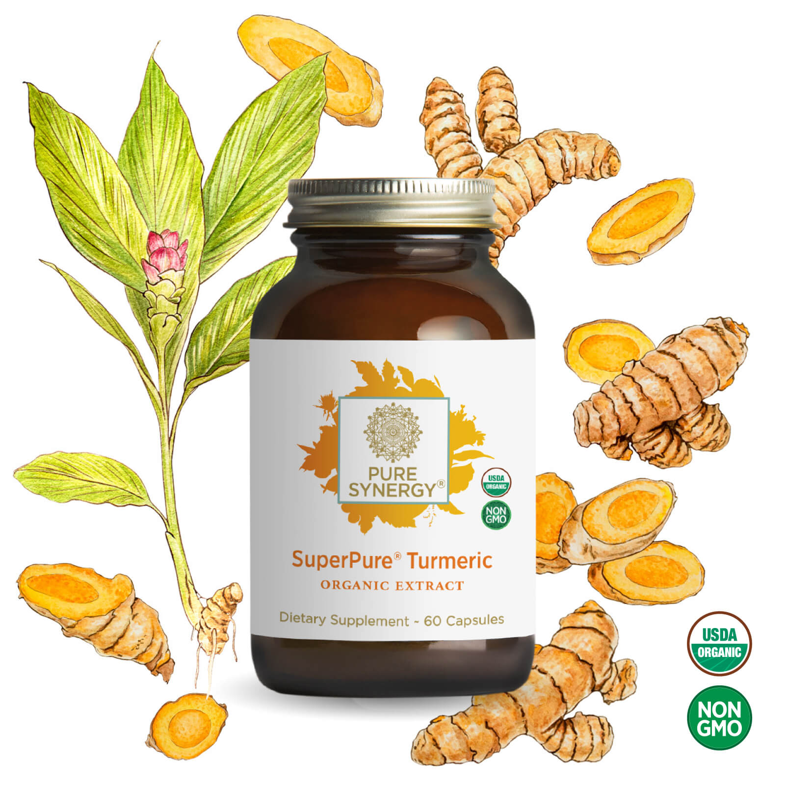 A brown bottle of The Synergy Company SuperPure® Turmeric Extract full-spectrum complex capsules sits among turmeric roots, slices, and a turmeric plant illustration, with USDA Organic and Non-GMO badges beside it. Rich in potent curcuminoids.
