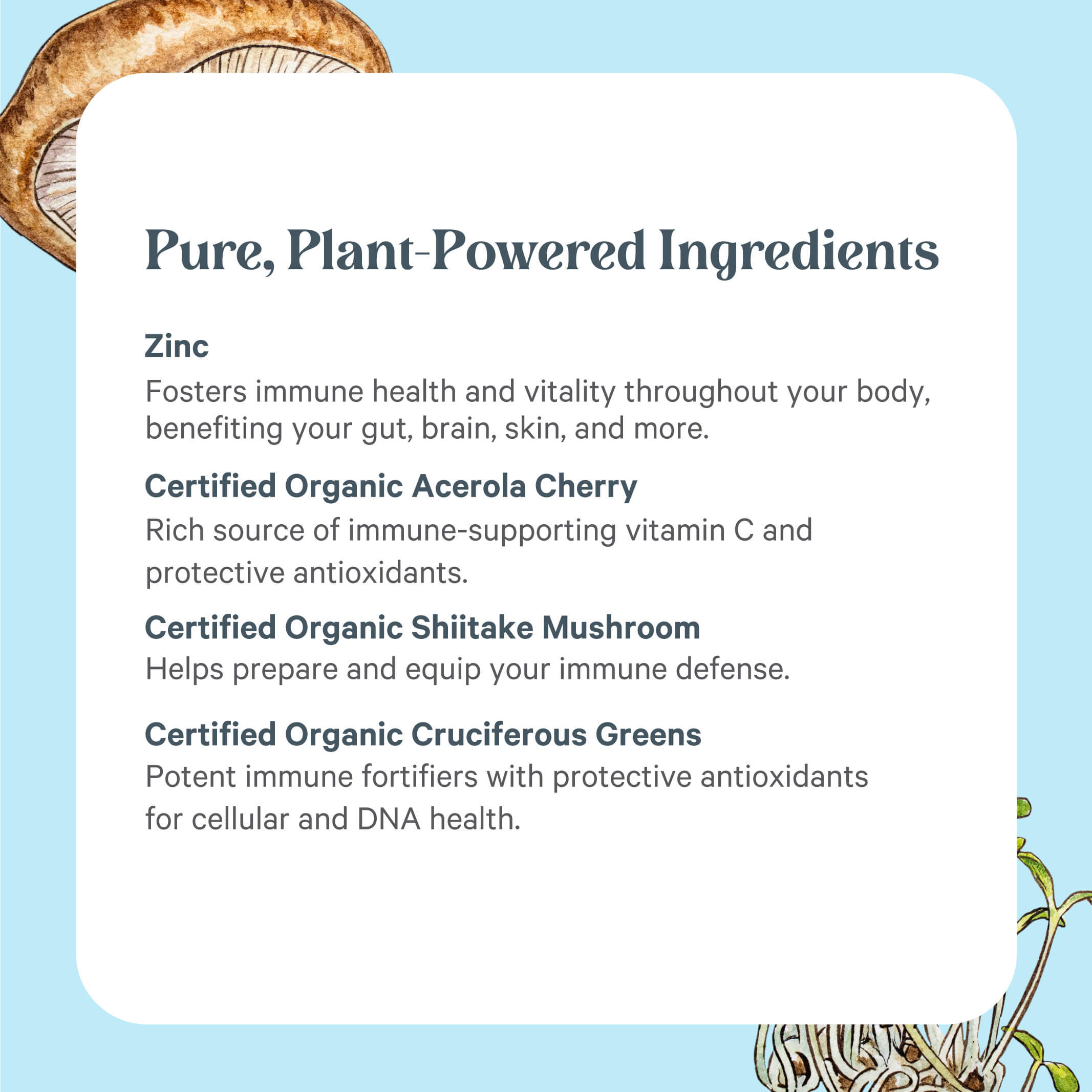 On a blue background, Zinc Complex™ by The Synergy Company highlights plant-powered immune ingredients: fermented zinc, organic acerola cherry, mushroom mycelia, and cruciferous greens—with brief health benefit descriptions.