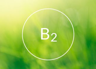 Vitamin B2 (Riboflavin)