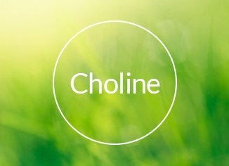 Choline