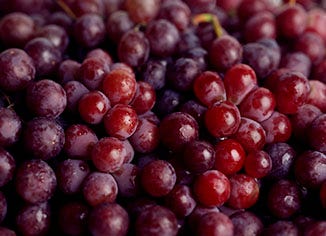 RED WINE GRAPE CONCENTRATE
Phytonutrient Powerhouse