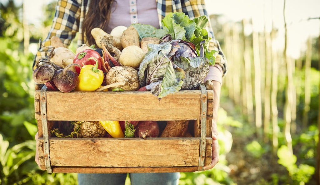 6 Reasons to Grow Your Own Food