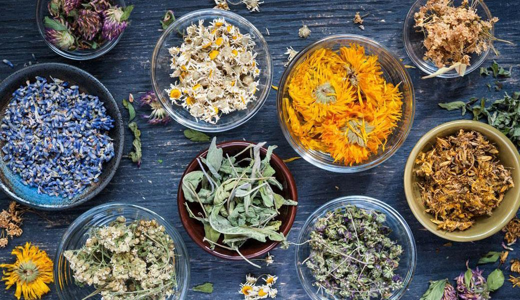 Choosing the Right Organic Herbs For Cold & Flu Season