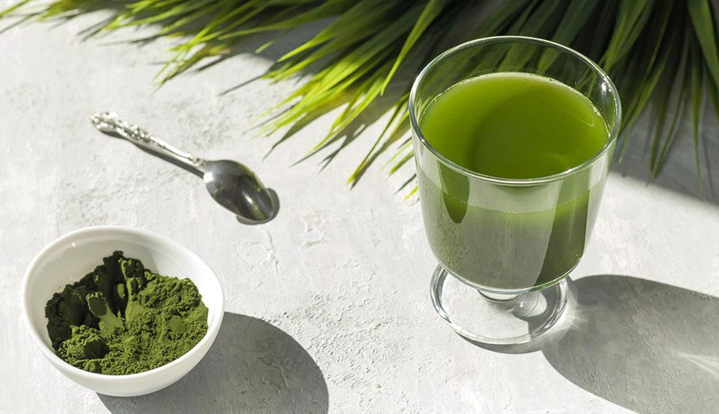 Why Green Juice Powders Have Better Nutrient Quality