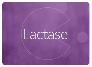 Lactase Enzyme