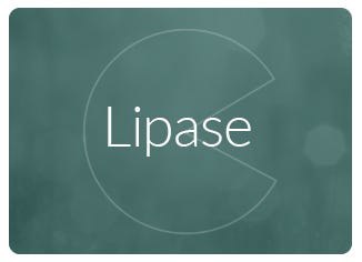 Lipase Enzyme