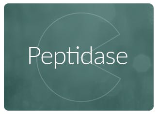 Peptidase Enzyme