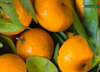 Mandarin Orange Extract