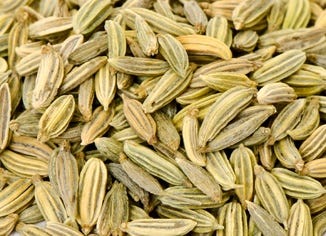 Fennel Seed